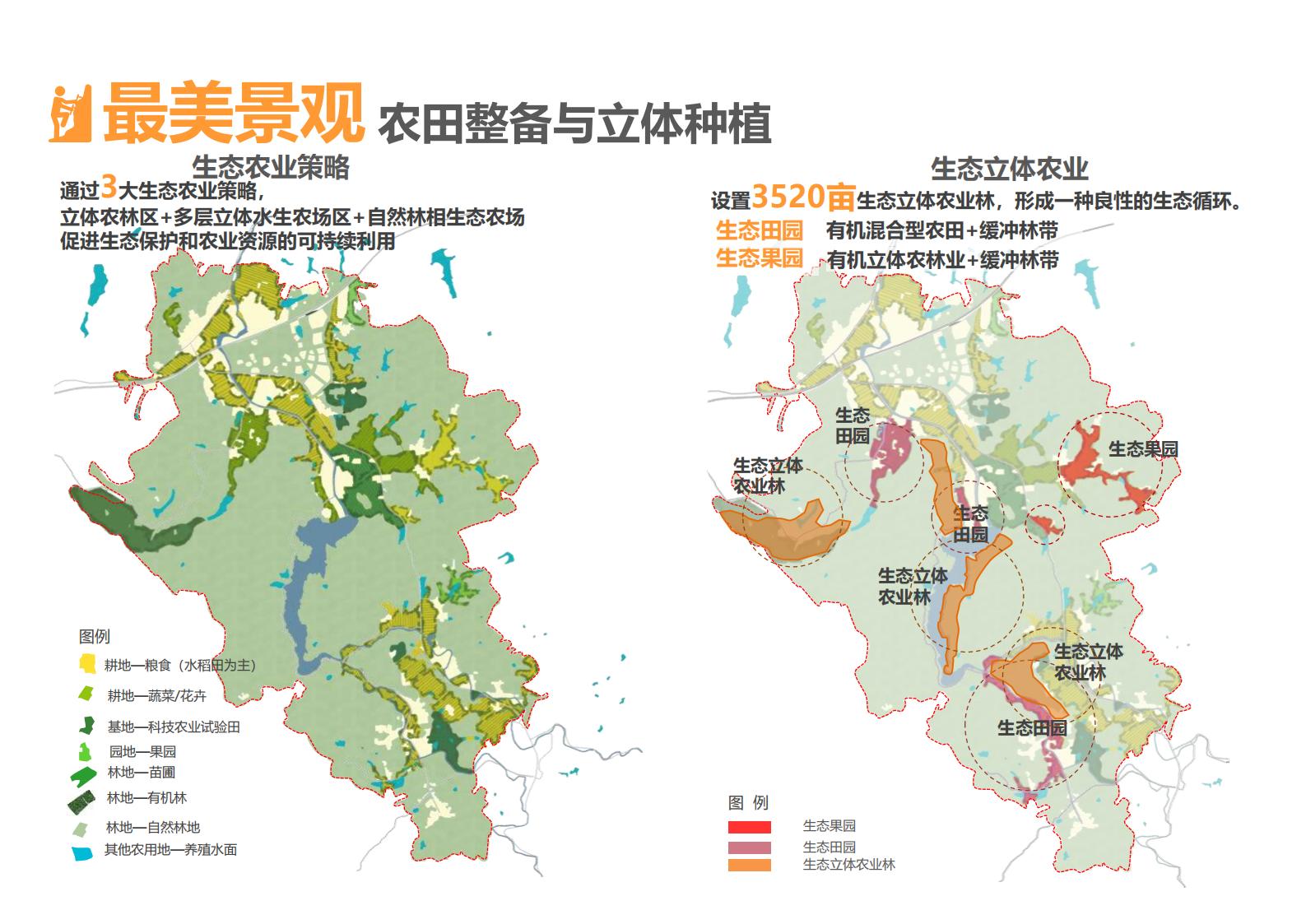 图片[153]-绍兴诸暨乡村振兴发展战略方案文本 - 由甫网-由甫网