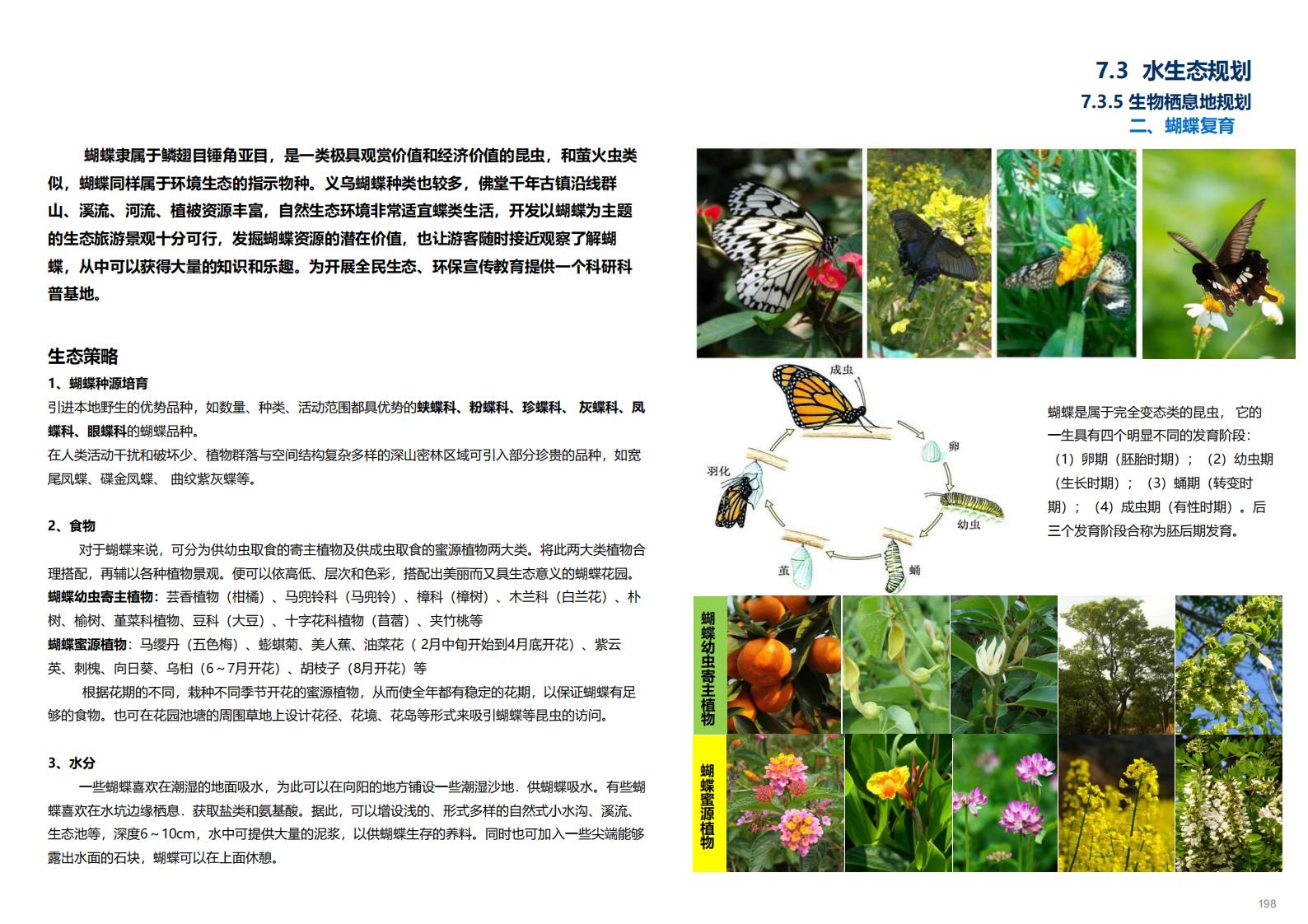 图片[196]-金华义乌佛堂千年古镇文化慢旅规划方案文本 - 由甫网-由甫网