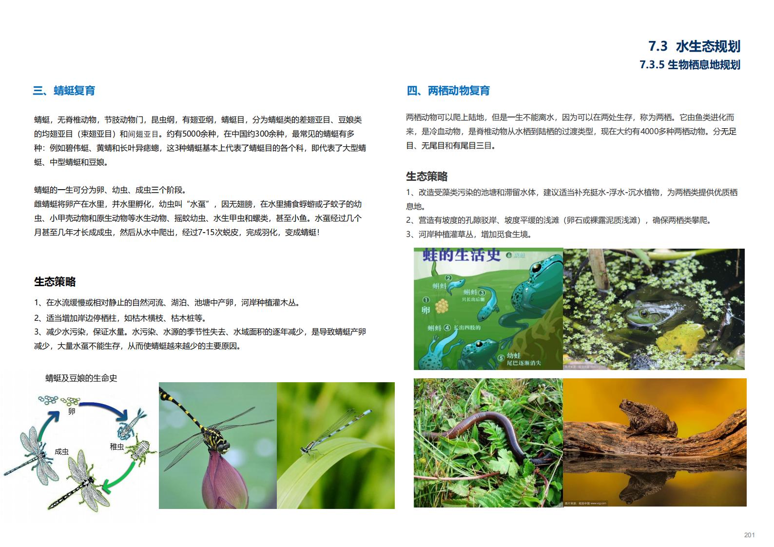 图片[199]-金华义乌佛堂千年古镇文化慢旅规划方案文本 - 由甫网-由甫网