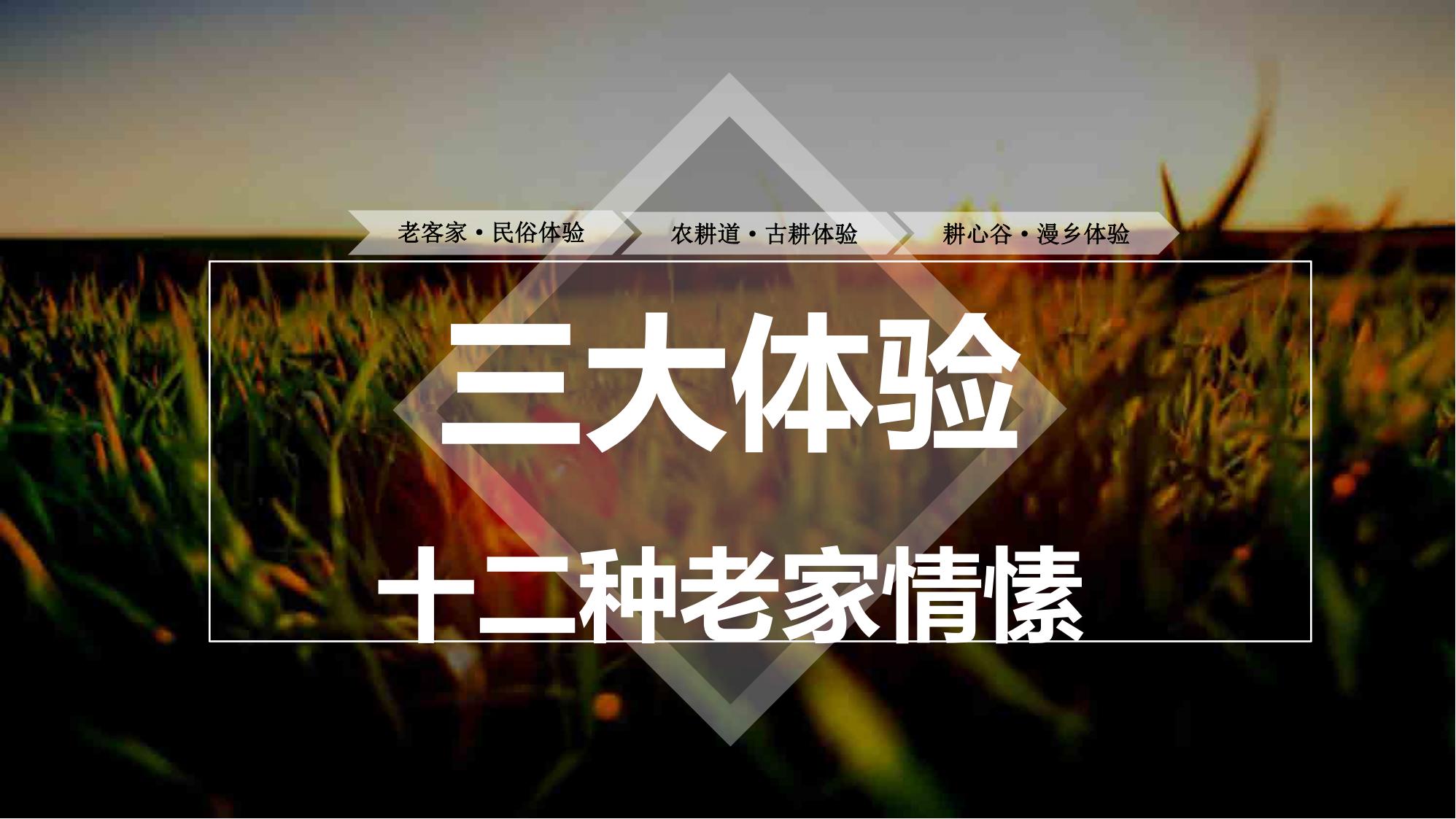 图片[57]-江西梯田田园乡村修建旅游规划方案文本 - 由甫网-由甫网