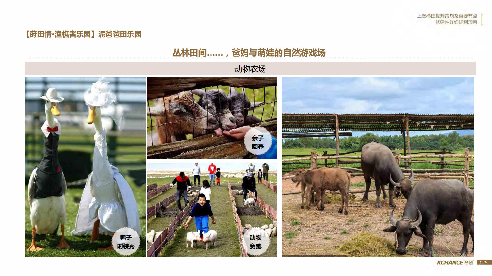 图片[125]-江西梯田田园乡村修建旅游规划方案文本 - 由甫网-由甫网
