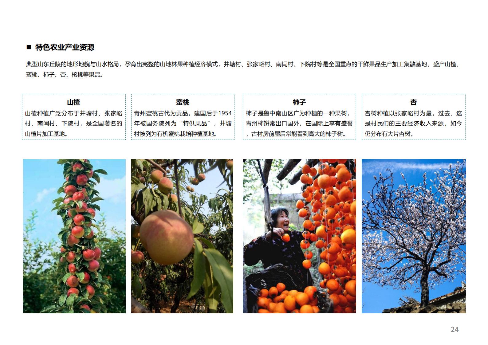 图片[23]-潍坊青州井塘古村玲珑山片区旅游景观方案 - 由甫网-由甫网
