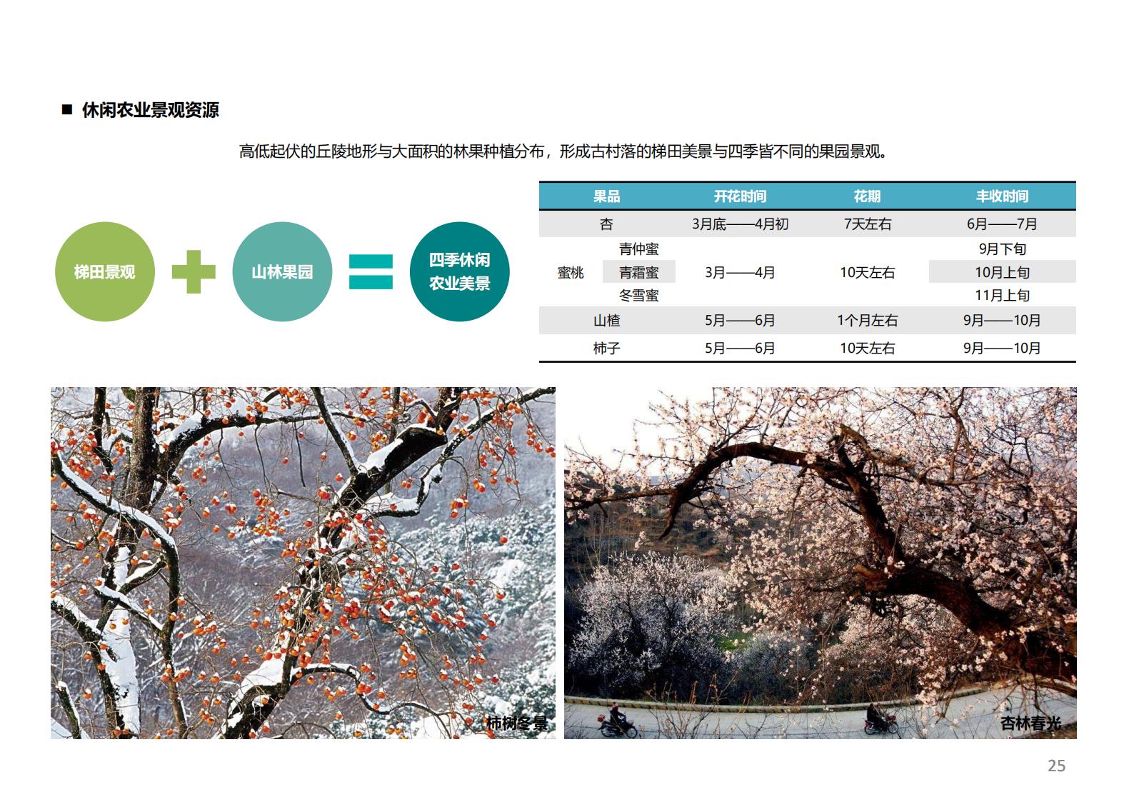 图片[24]-潍坊青州井塘古村玲珑山片区旅游景观方案 - 由甫网-由甫网