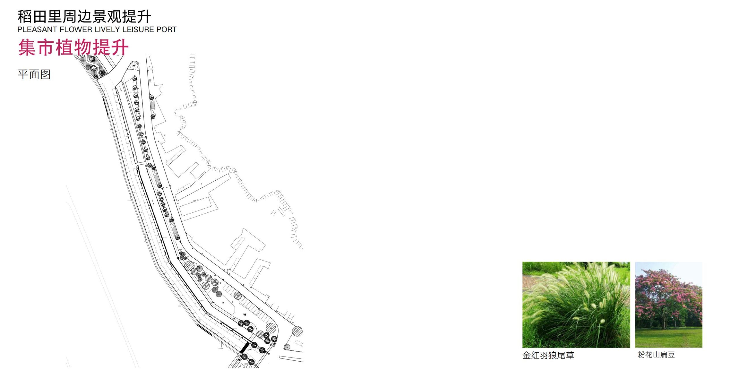 图片[33]-洛阳市马岭村联星片区景观提升方案 - 由甫网-由甫网