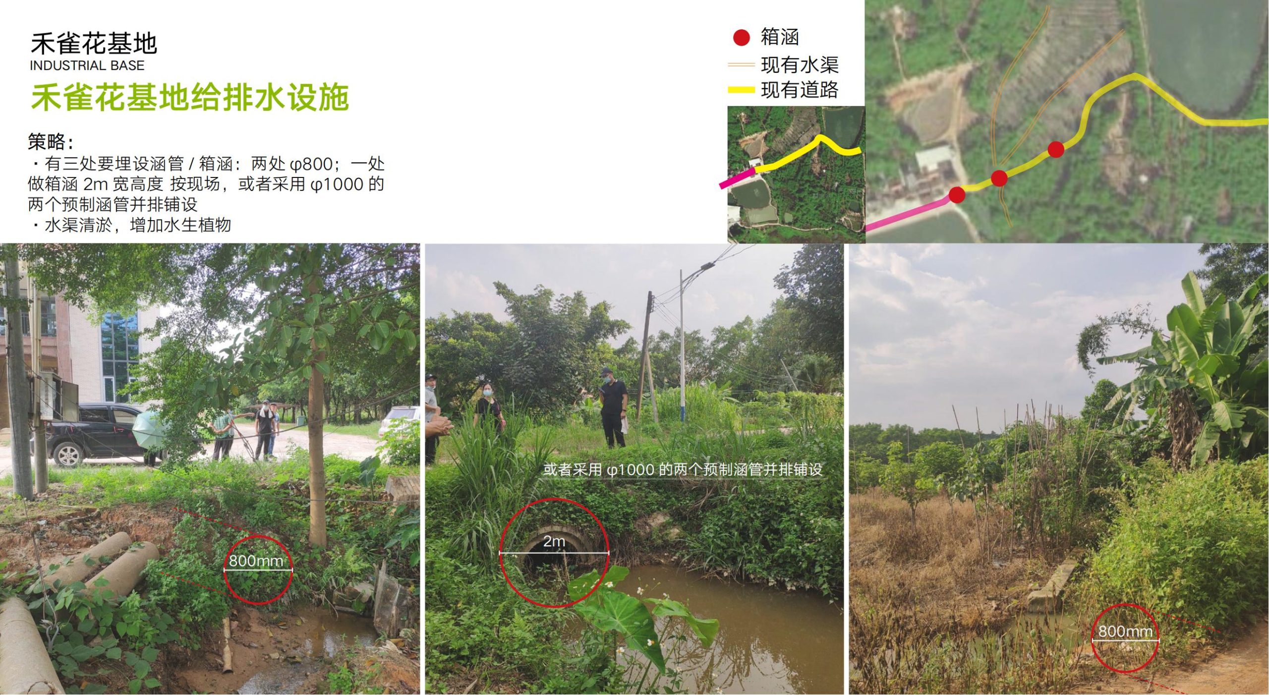 图片[98]-洛阳市马岭村联星片区景观提升方案 - 由甫网-由甫网