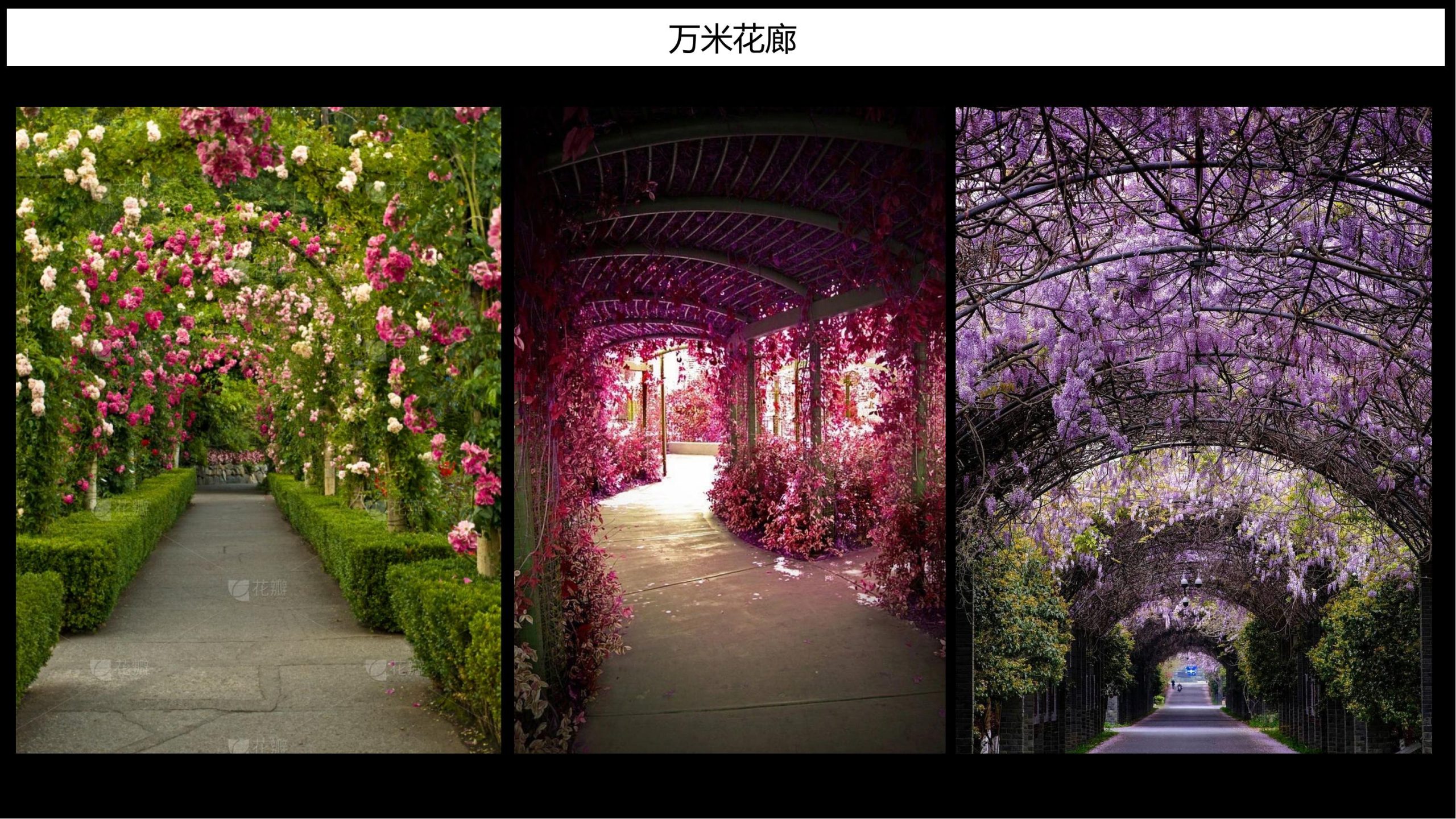 图片[34]-【甘肃】白银市靖远县若笠乡七彩田园乡村综合体景观规划设计方案 - 由甫网-由甫网