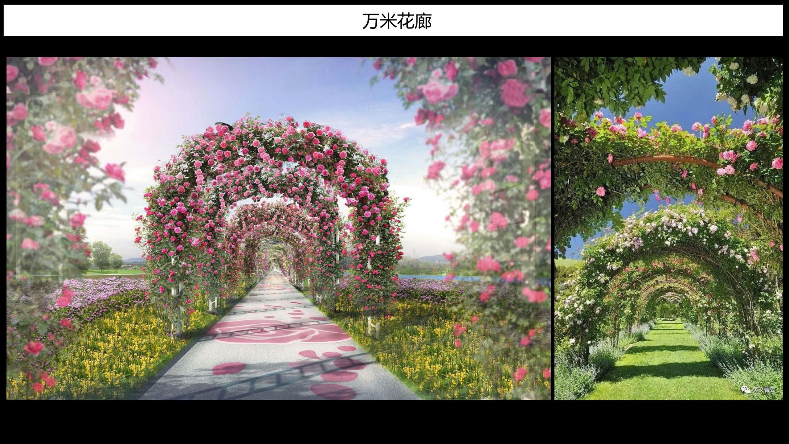 图片[35]-【甘肃】白银市靖远县若笠乡七彩田园乡村综合体景观规划设计方案 - 由甫网-由甫网