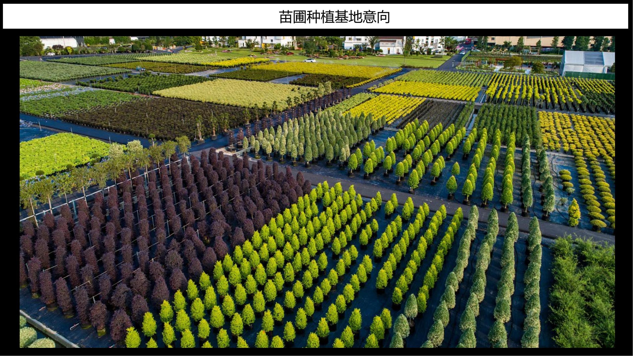 图片[37]-【甘肃】白银市靖远县若笠乡七彩田园乡村综合体景观规划设计方案 - 由甫网-由甫网