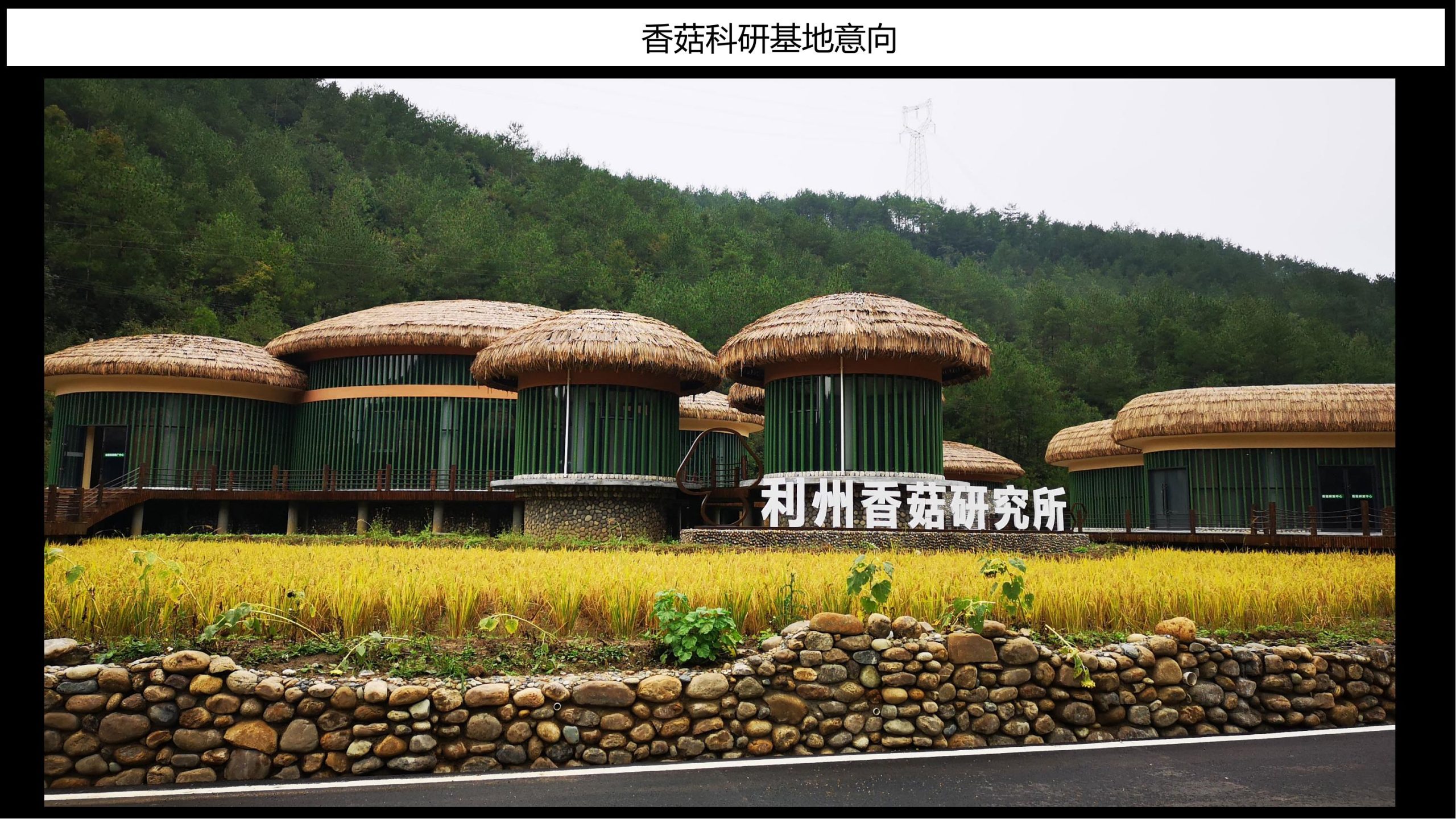 图片[38]-【甘肃】白银市靖远县若笠乡七彩田园乡村综合体景观规划设计方案 - 由甫网-由甫网