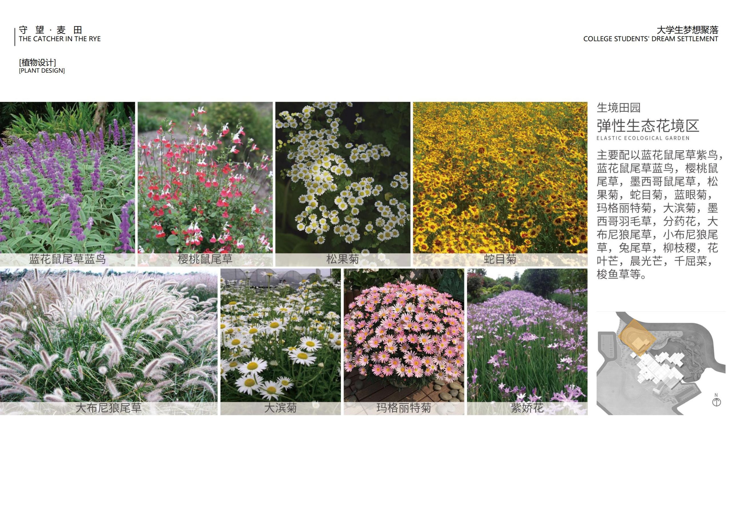 图片[104]-【四川】守望麦田大学生梦想聚落建筑及景观方案设计 - 由甫网-由甫网