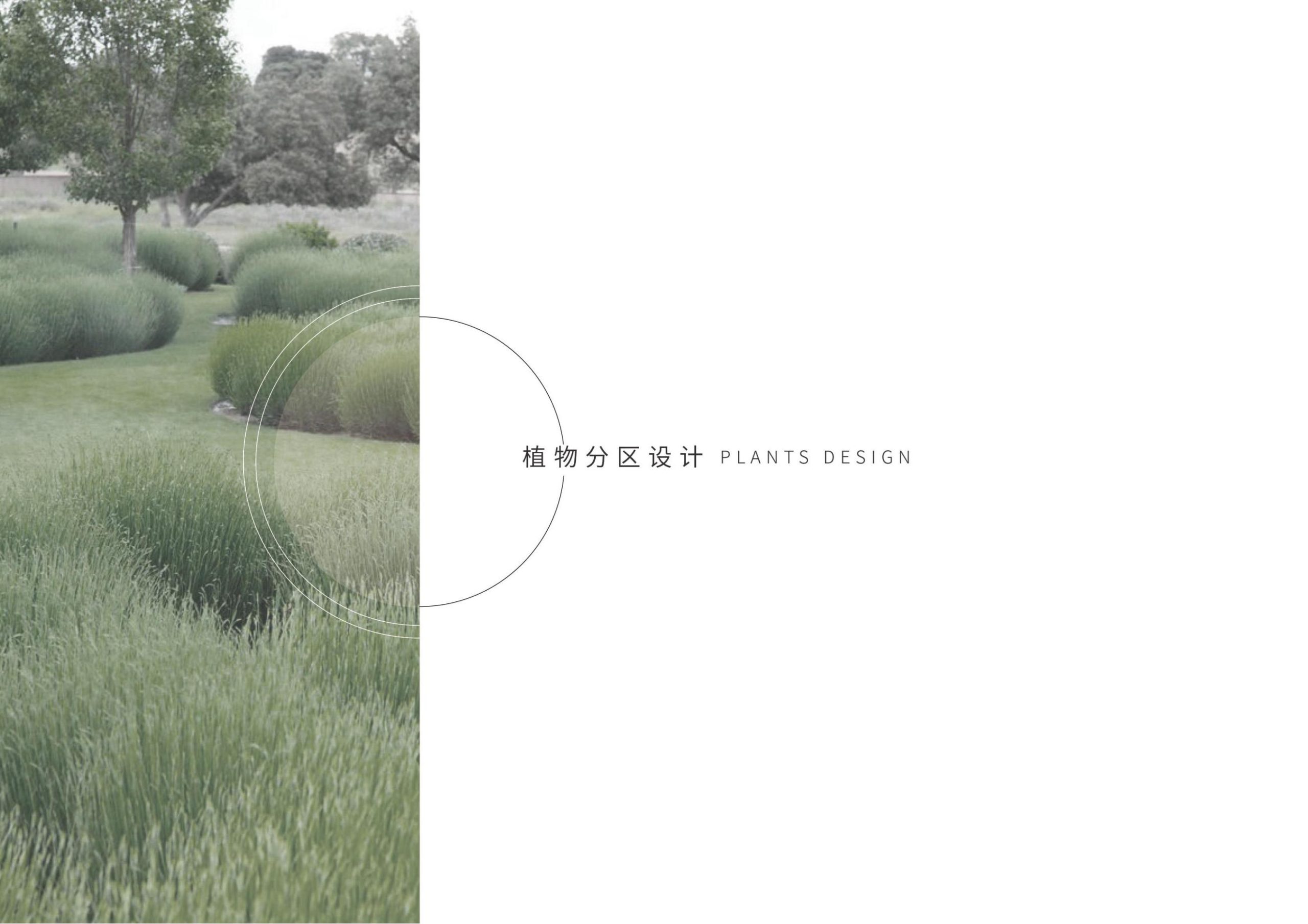 图片[97]-【四川】守望麦田大学生梦想聚落建筑及景观方案设计 - 由甫网-由甫网