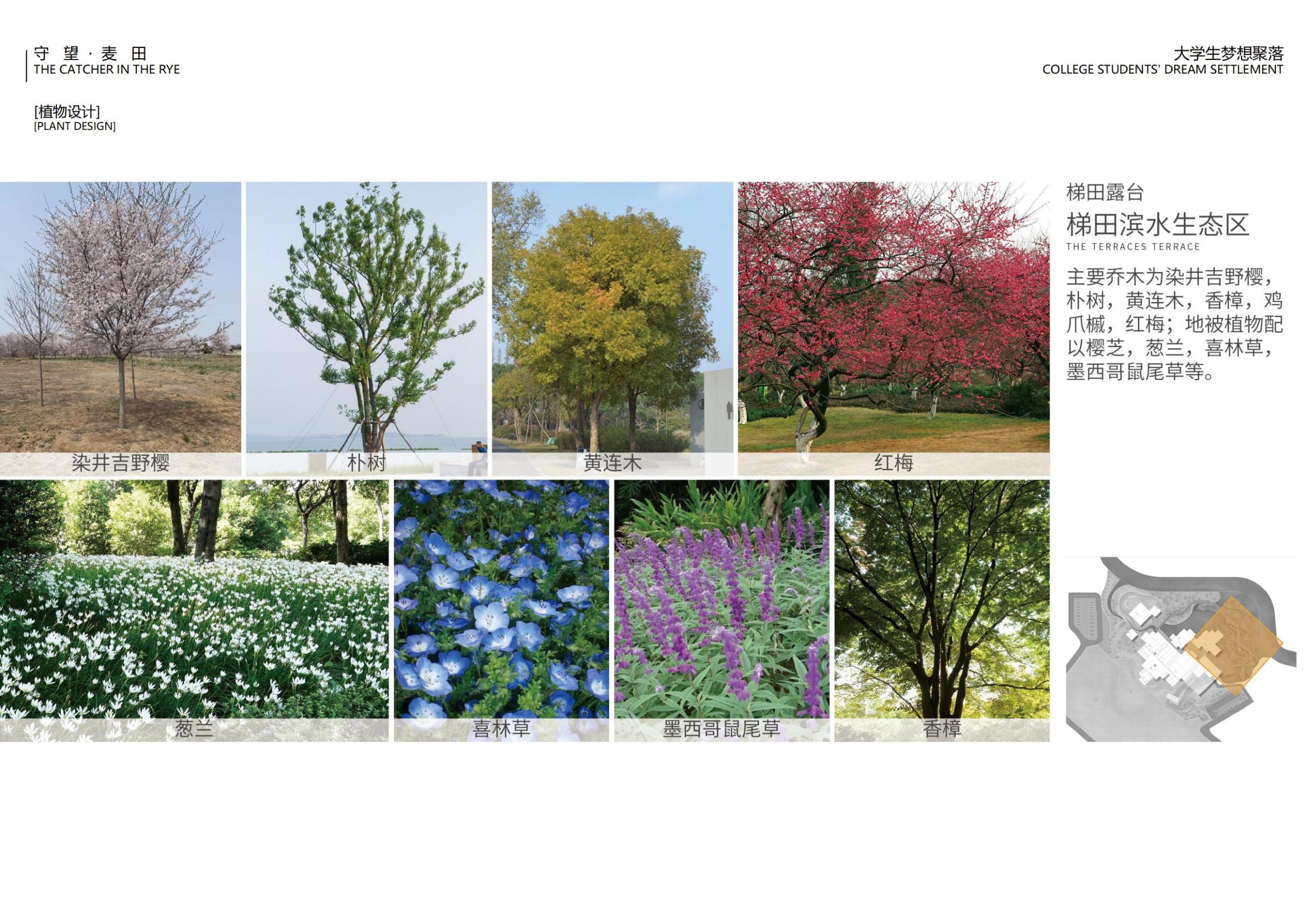 图片[101]-【四川】守望麦田大学生梦想聚落建筑及景观方案设计 - 由甫网-由甫网