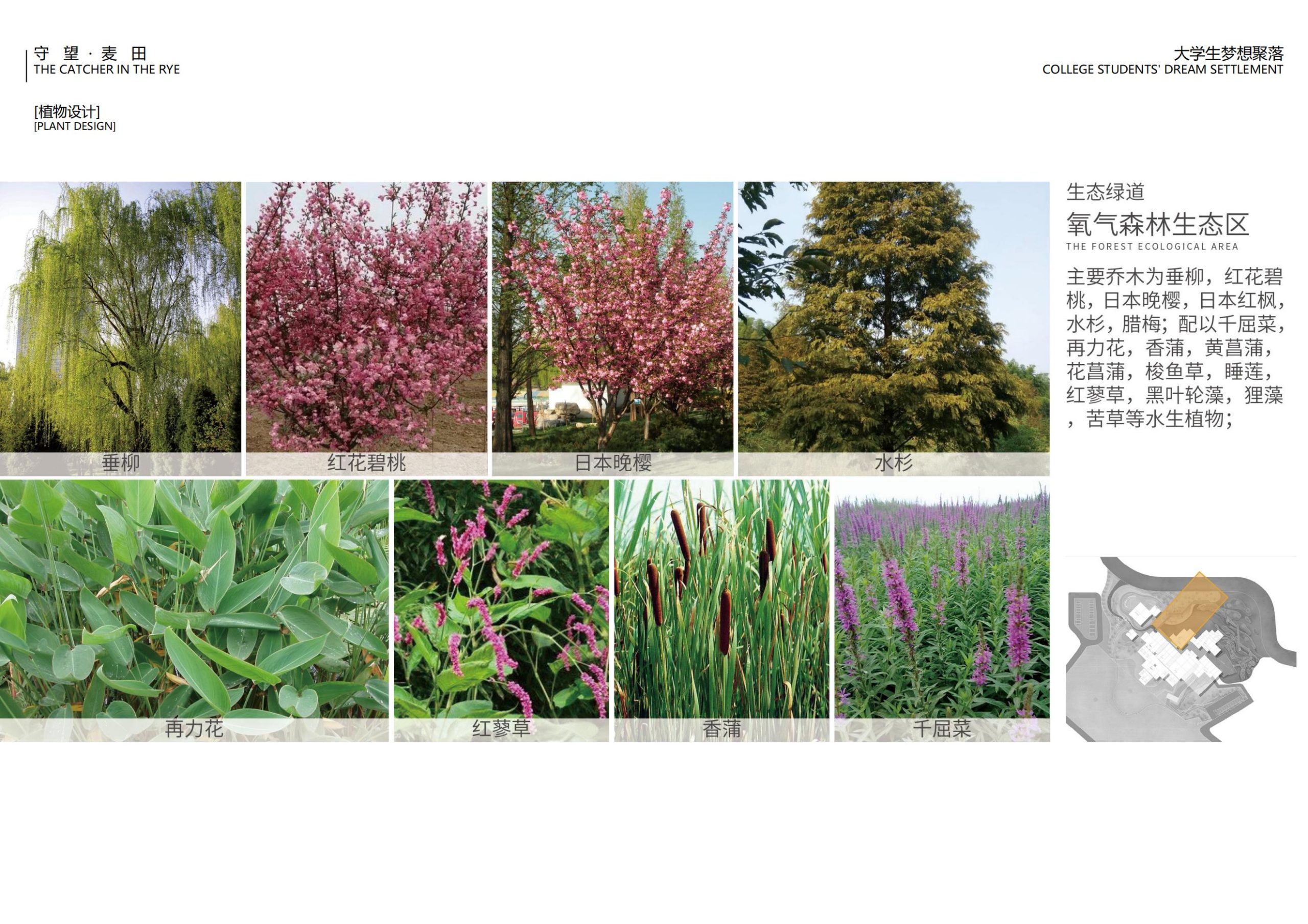图片[102]-【四川】守望麦田大学生梦想聚落建筑及景观方案设计 - 由甫网-由甫网