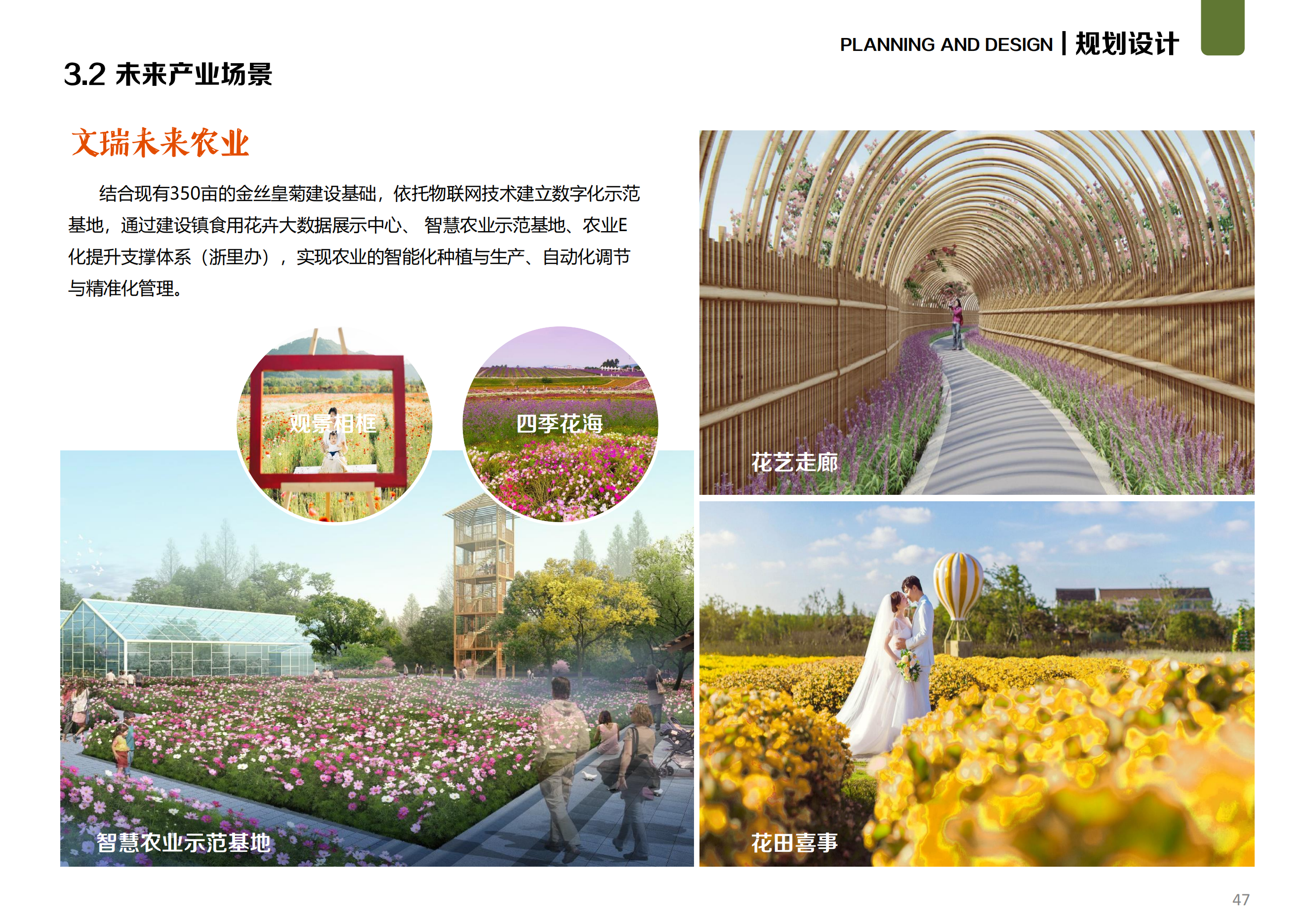 图片[33]-温州文成县二源镇湖田村乐在湖田未来乡村规划 - 由甫网-由甫网