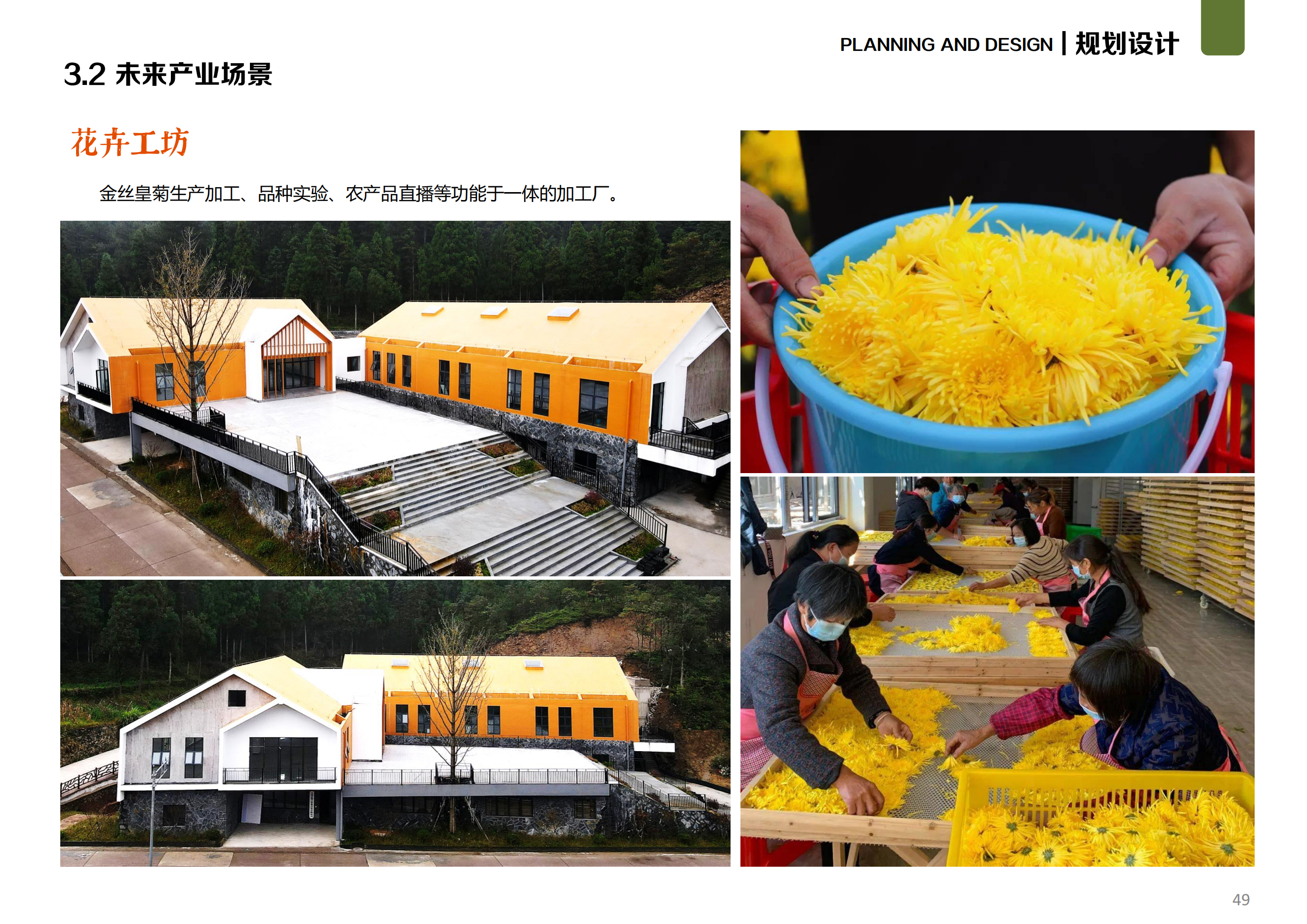 图片[31]-温州文成县二源镇湖田村乐在湖田未来乡村规划 - 由甫网-由甫网