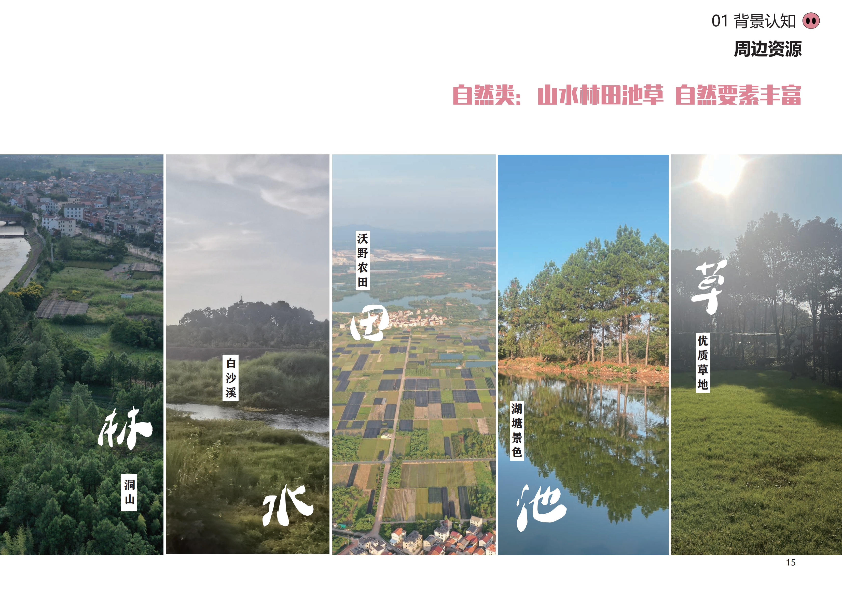 图片[12]-金华熊猫猪猪国际牧场二期项目 - 由甫网-由甫网