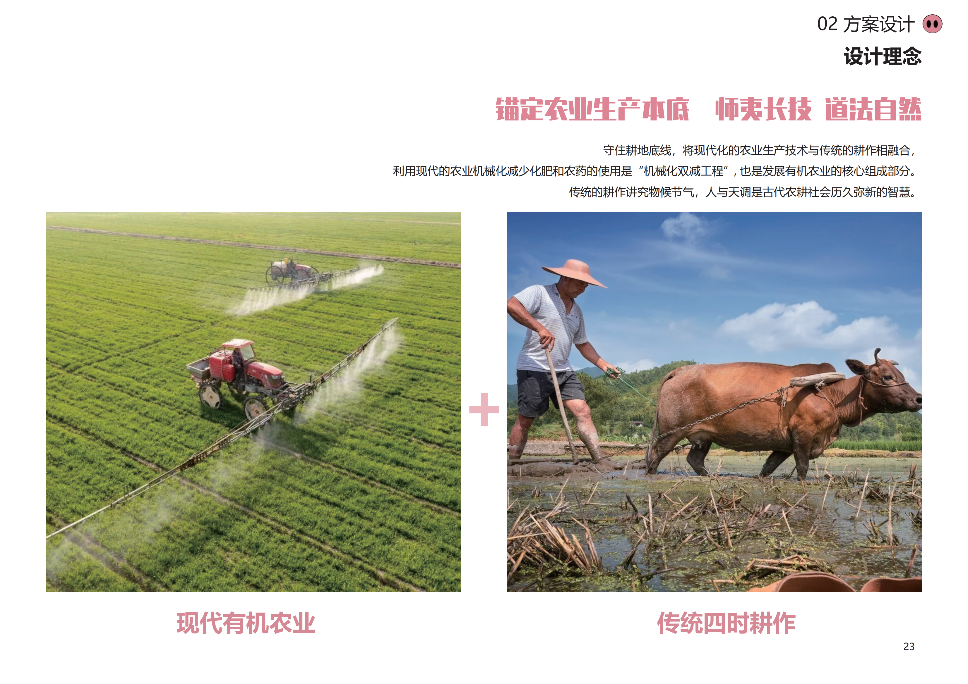 图片[20]-金华熊猫猪猪国际牧场二期项目 - 由甫网-由甫网