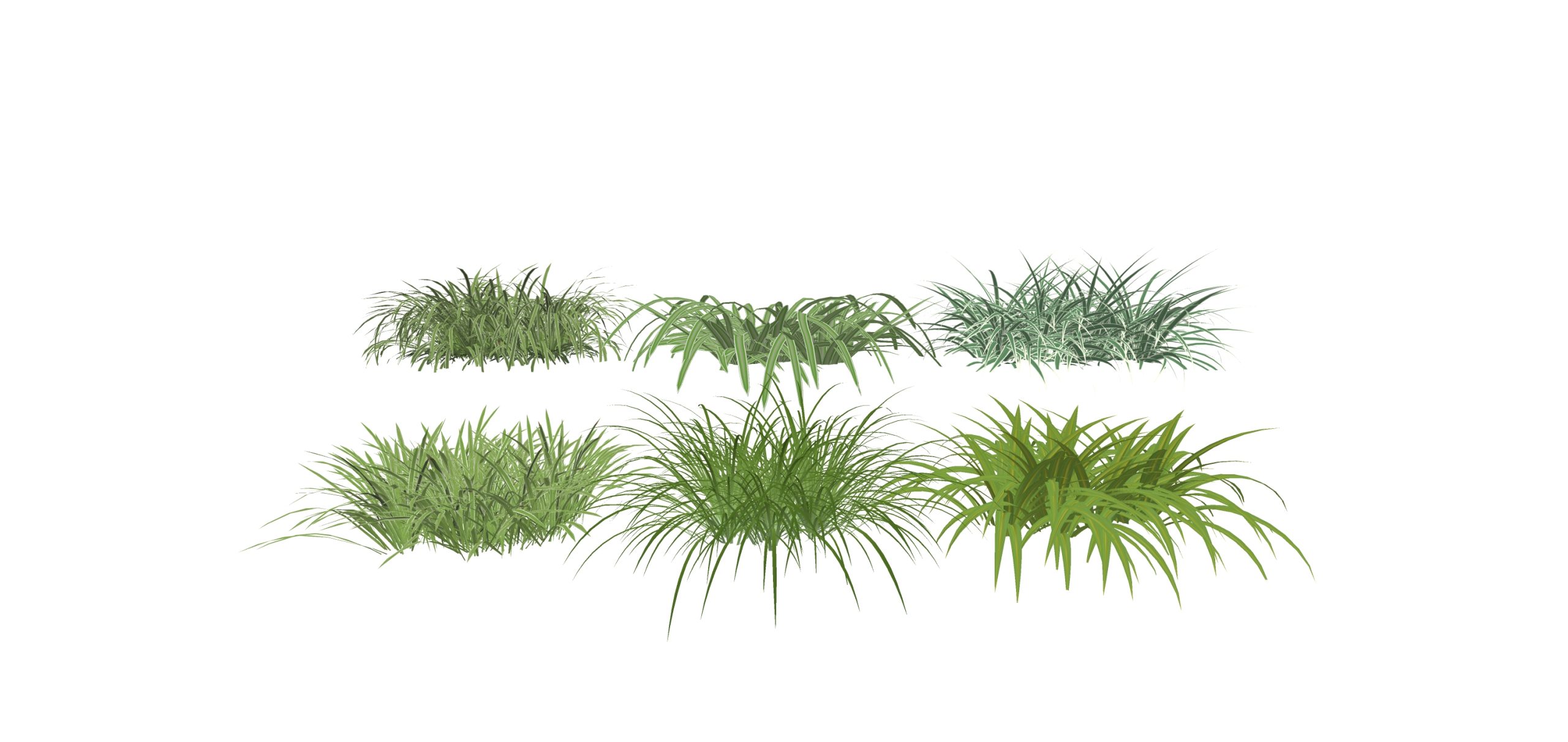 现代草灌木细叶麦冬地被植物花草草类草图大师SU模型-由甫网