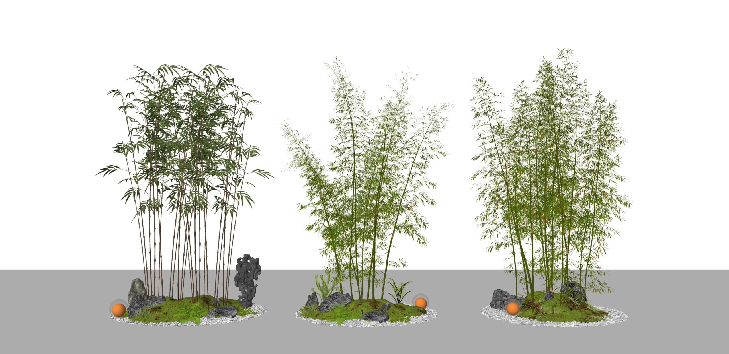 3D竹子_景观竹_庭院小品_庭院竹_园艺竹_竹子草图大师SU模型-由甫网