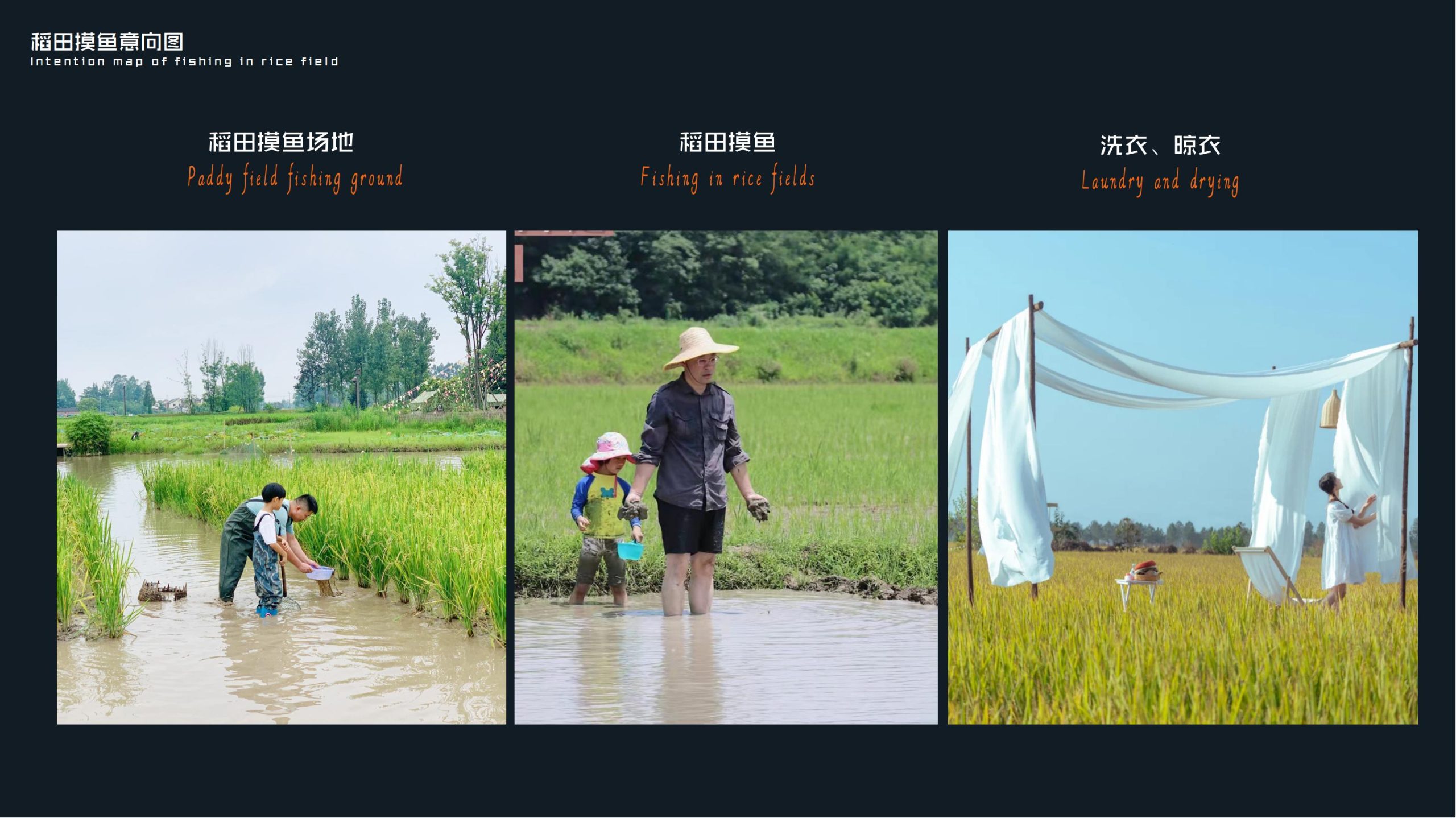 图片[41]-郫县农业公园大田景观改造方案 - 由甫网-由甫网