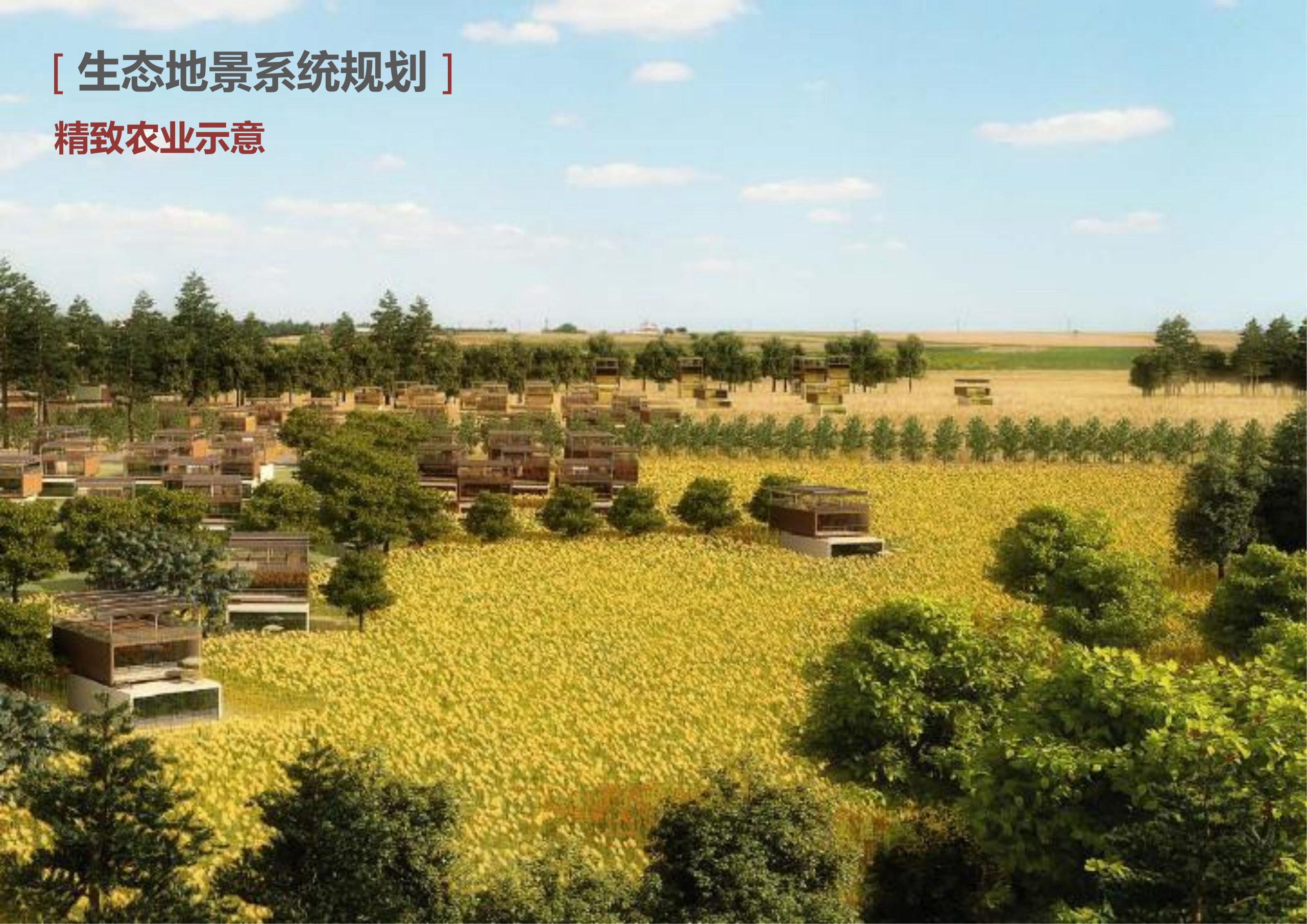 图片[111]-新县羚锐健康特色小镇项目（田园康养文旅）策划及概念规划 - 由甫网-由甫网