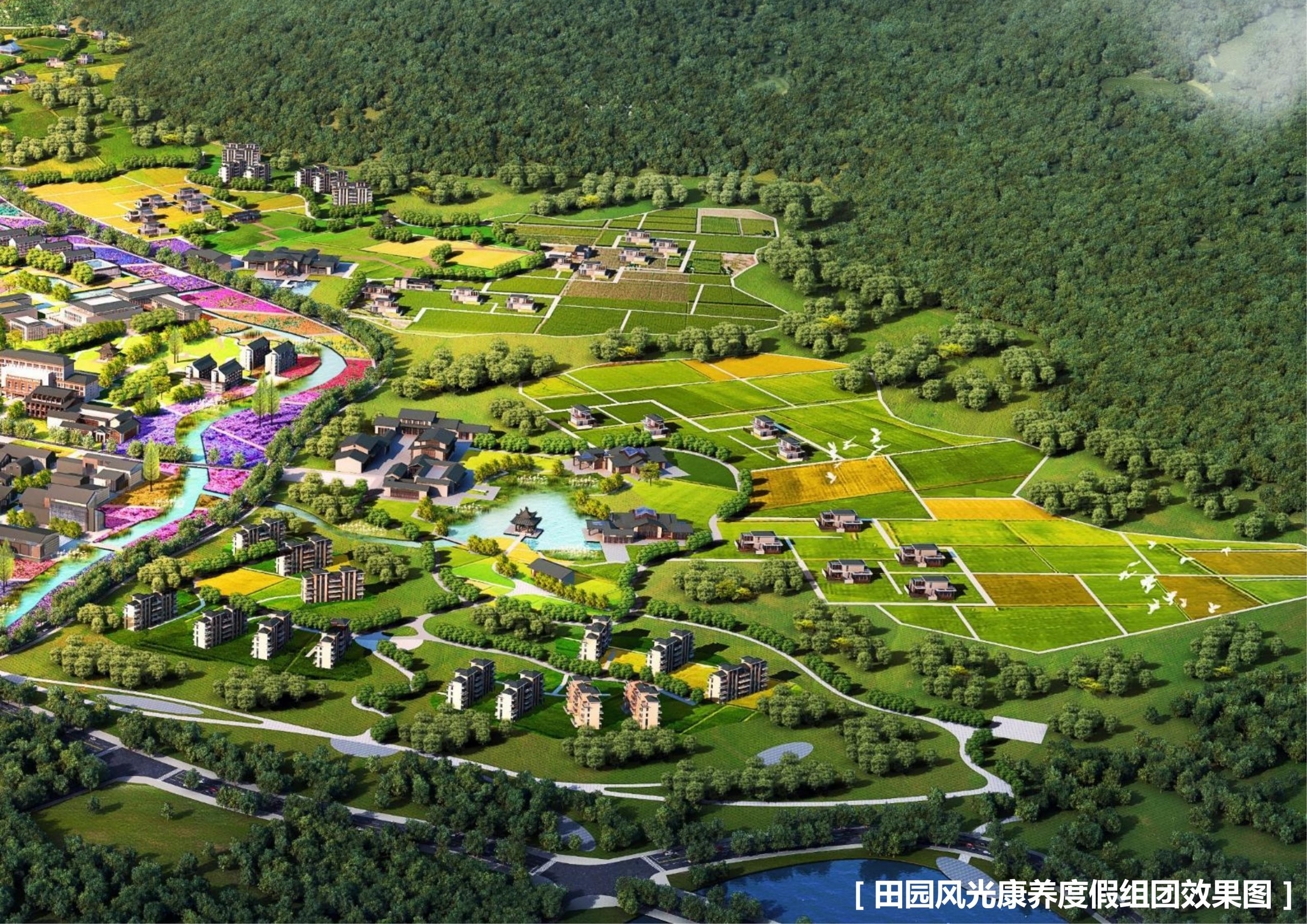 图片[119]-新县羚锐健康特色小镇项目（田园康养文旅）策划及概念规划 - 由甫网-由甫网