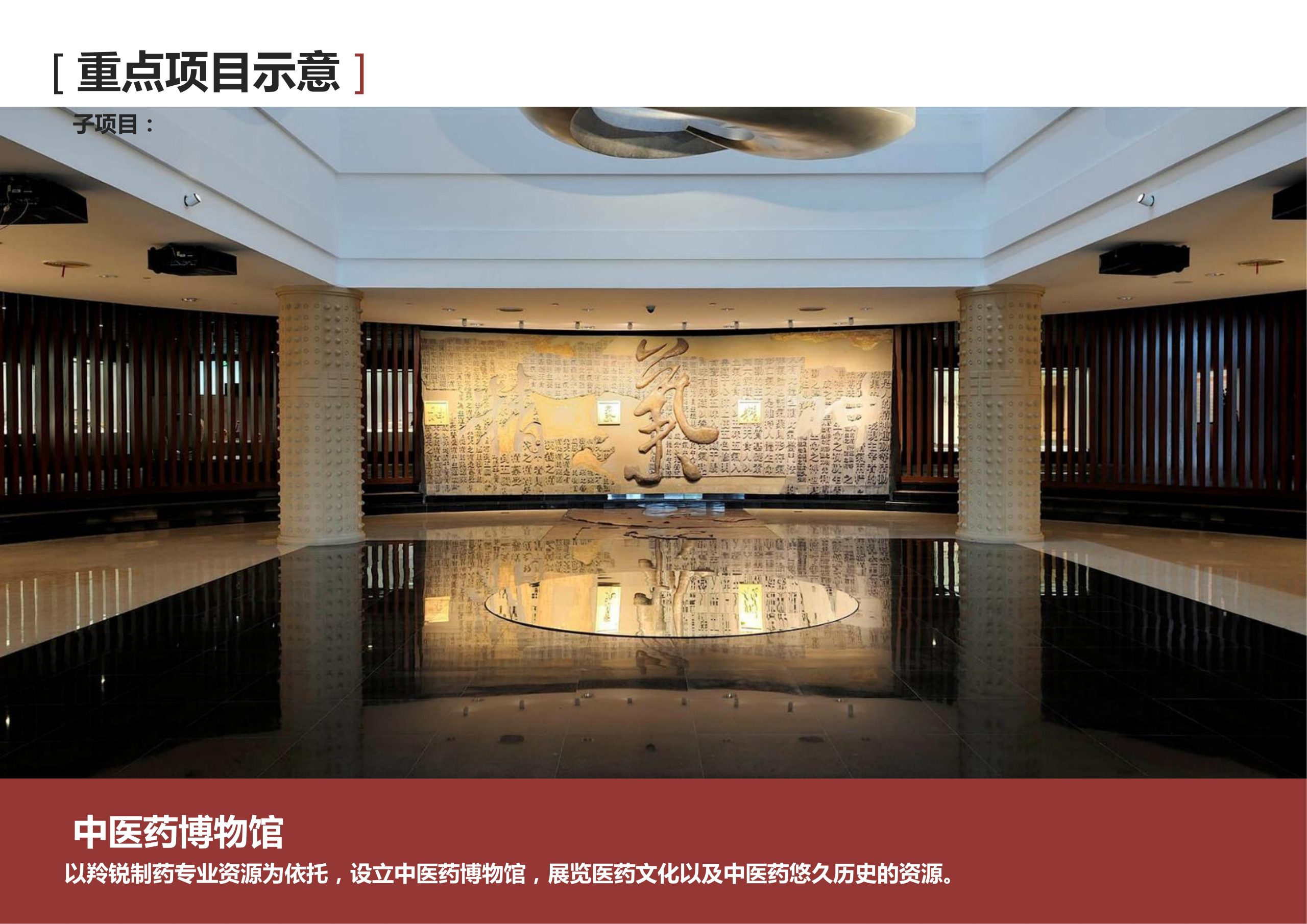 图片[128]-新县羚锐健康特色小镇项目（田园康养文旅）策划及概念规划 - 由甫网-由甫网