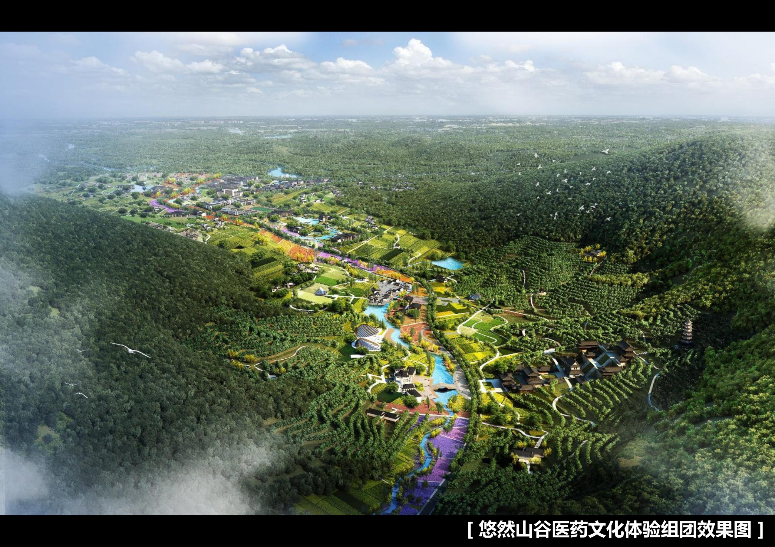 图片[136]-新县羚锐健康特色小镇项目（田园康养文旅）策划及概念规划 - 由甫网-由甫网