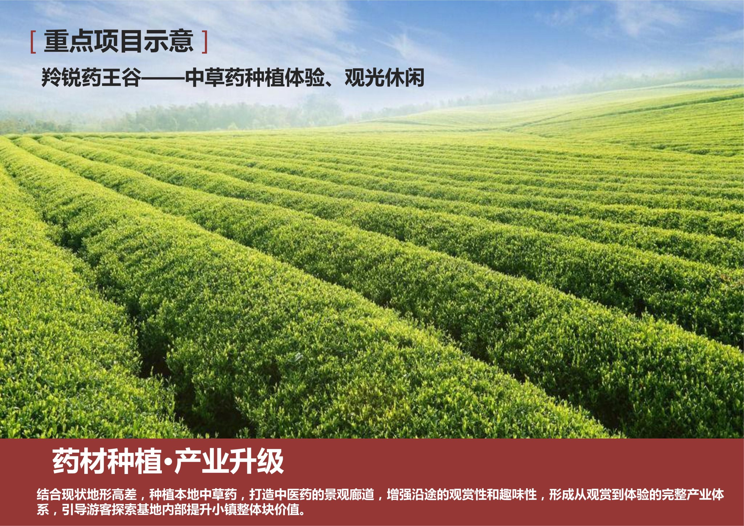 图片[140]-新县羚锐健康特色小镇项目（田园康养文旅）策划及概念规划 - 由甫网-由甫网