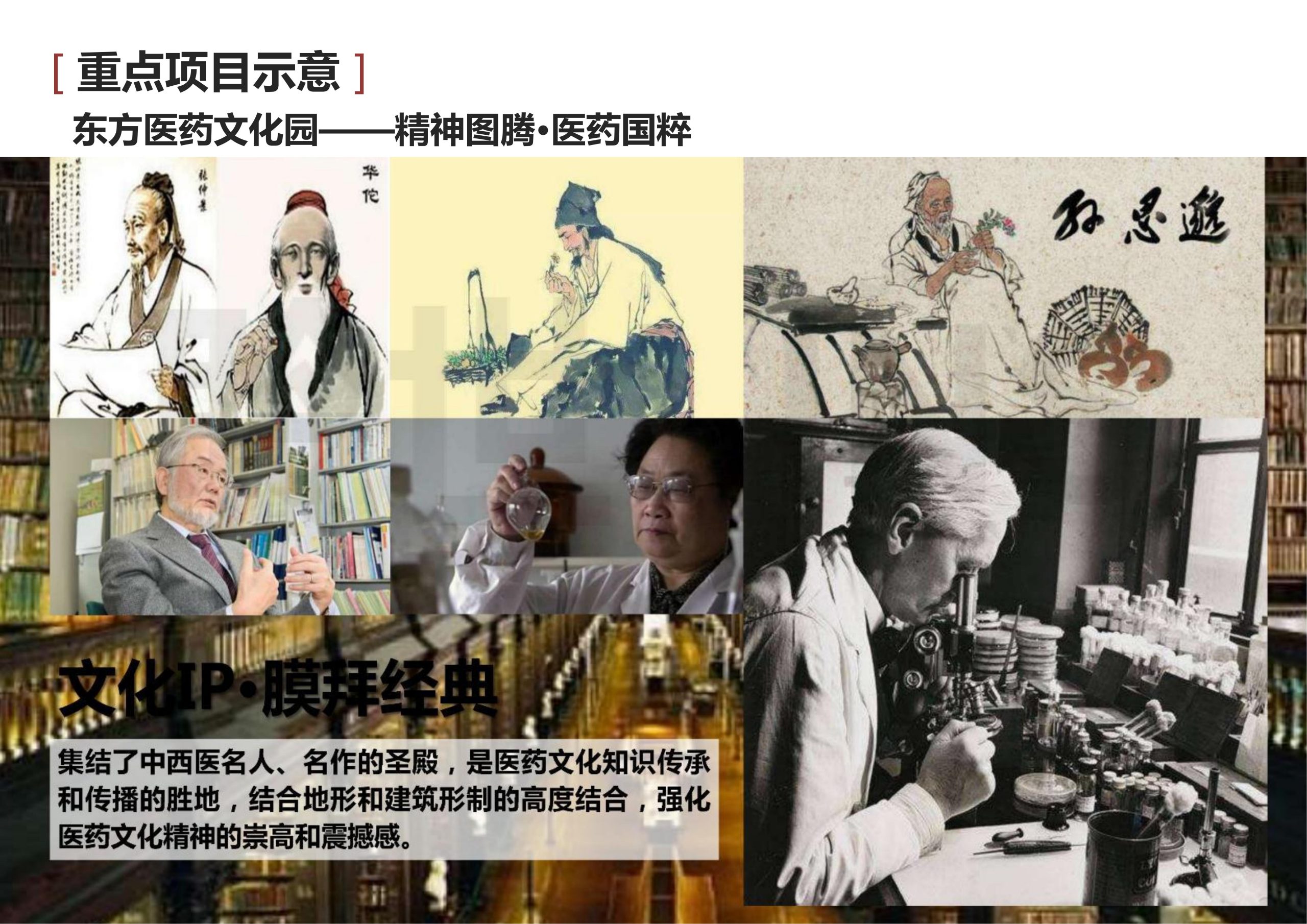 图片[142]-新县羚锐健康特色小镇项目（田园康养文旅）策划及概念规划 - 由甫网-由甫网