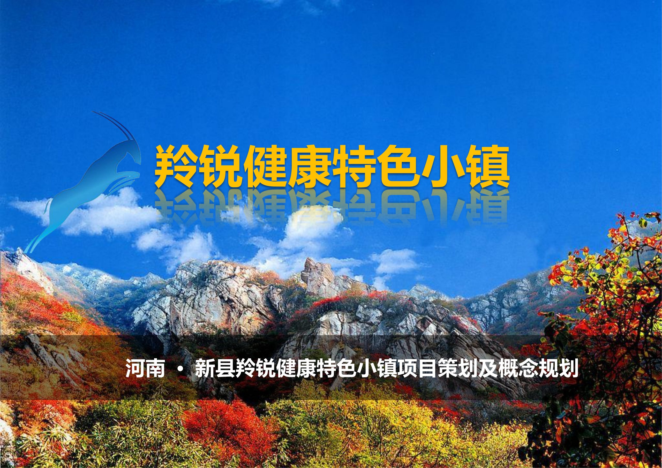 新县羚锐健康特色小镇项目（田园康养文旅）策划及概念规划-由甫网