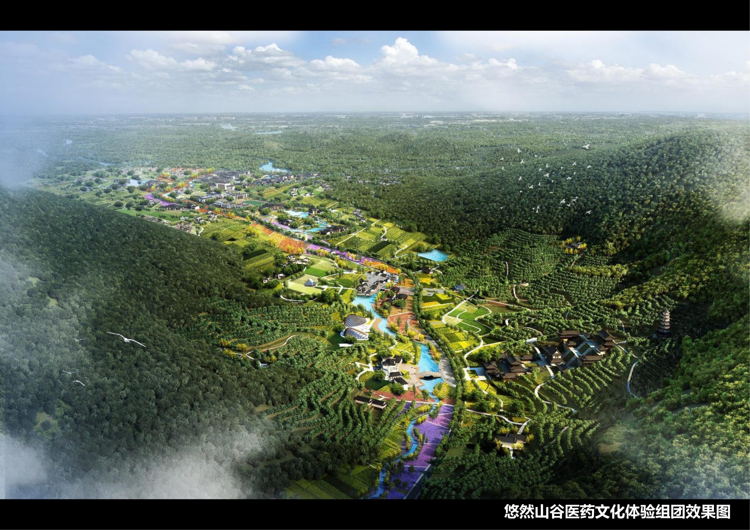 图片[3]-新县羚锐健康特色小镇项目（田园康养文旅）策划及概念规划 - 由甫网-由甫网