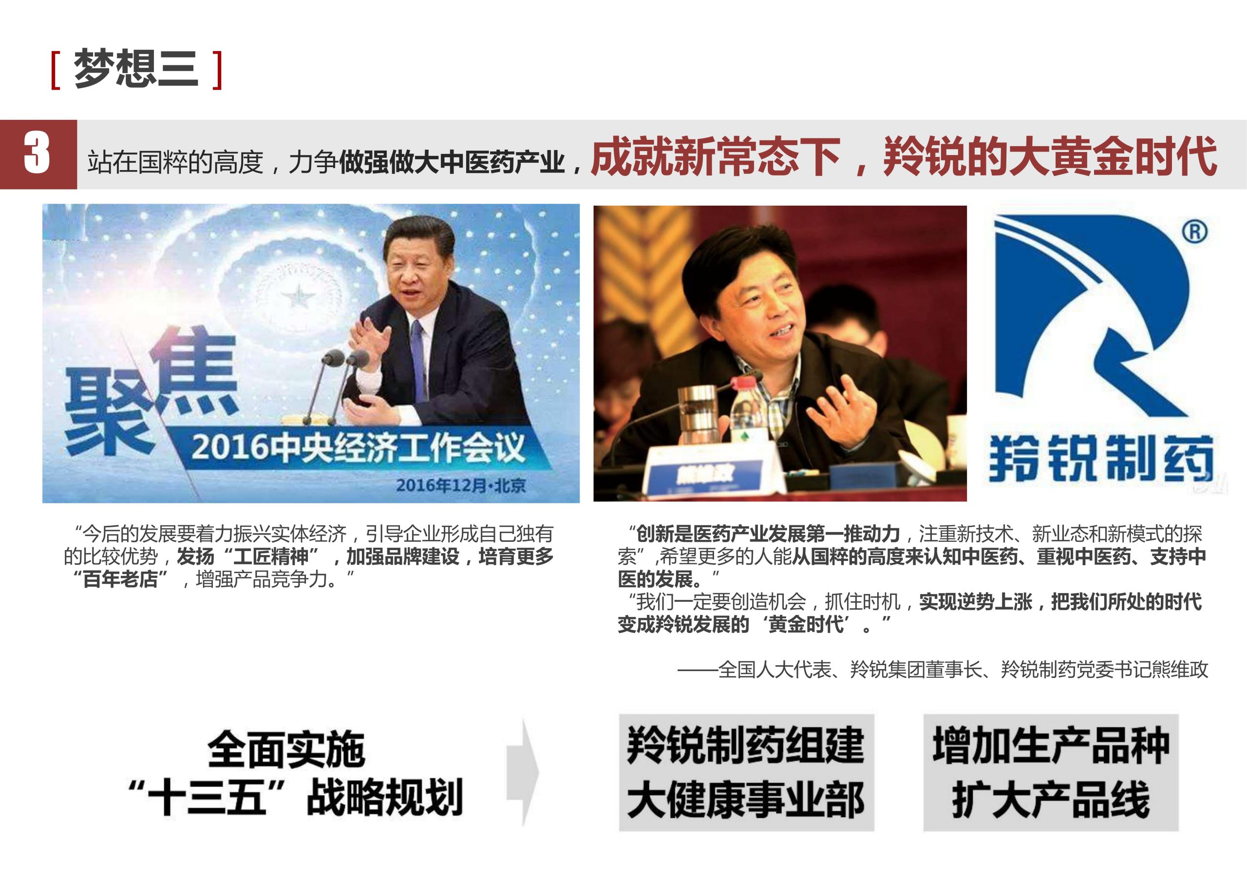 图片[11]-新县羚锐健康特色小镇项目（田园康养文旅）策划及概念规划 - 由甫网-由甫网