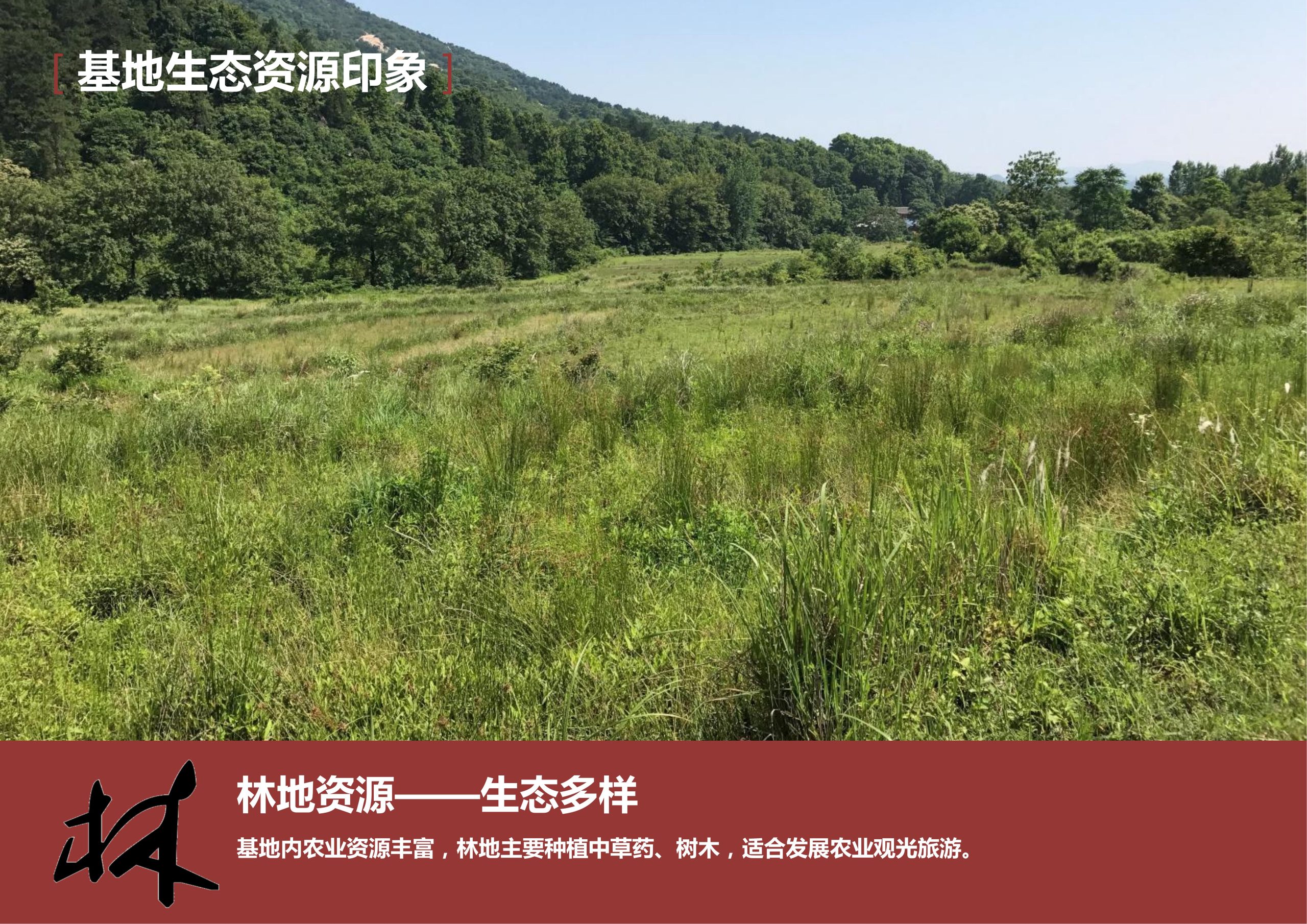 图片[49]-新县羚锐健康特色小镇项目（田园康养文旅）策划及概念规划 - 由甫网-由甫网