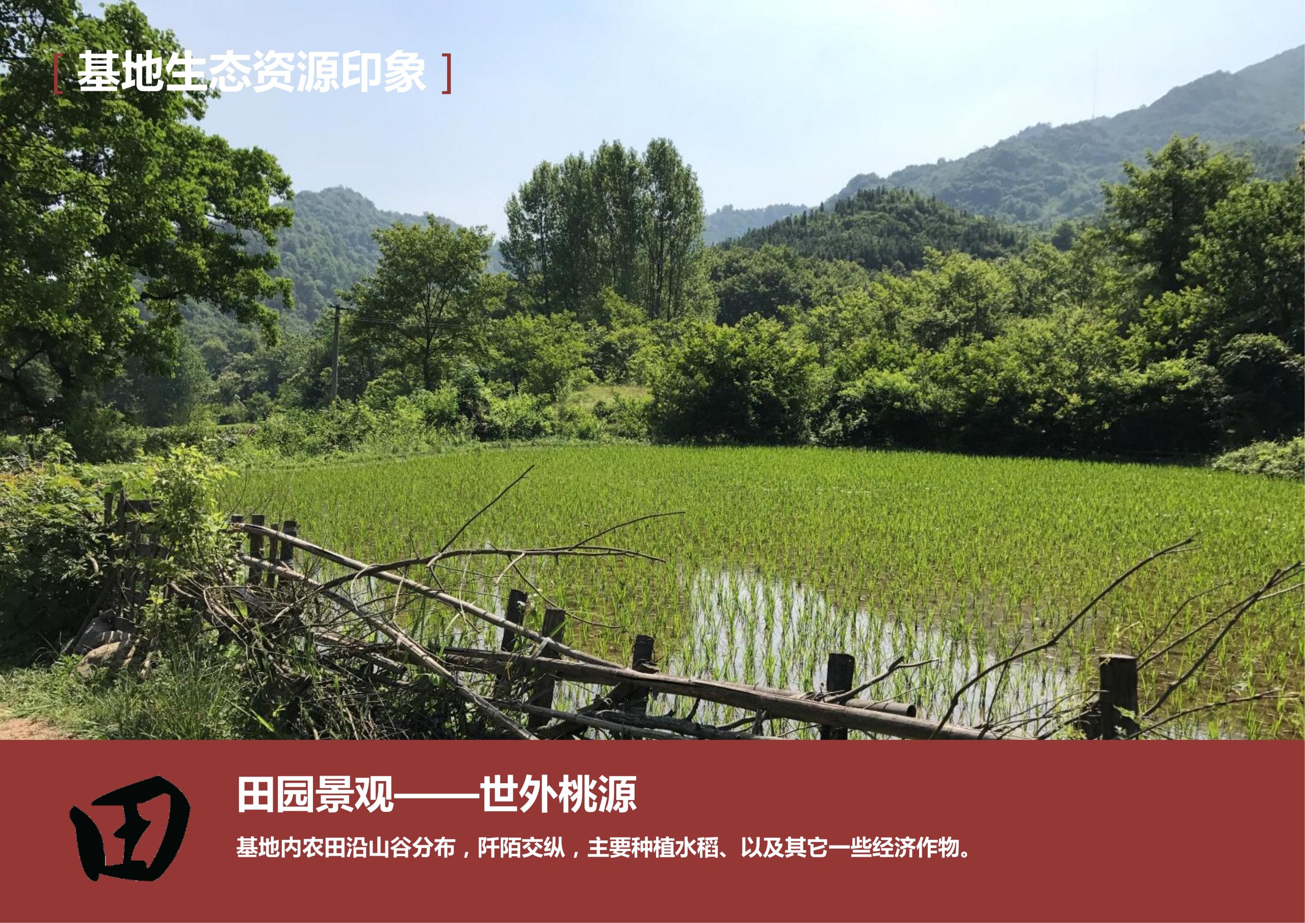 图片[50]-新县羚锐健康特色小镇项目（田园康养文旅）策划及概念规划 - 由甫网-由甫网