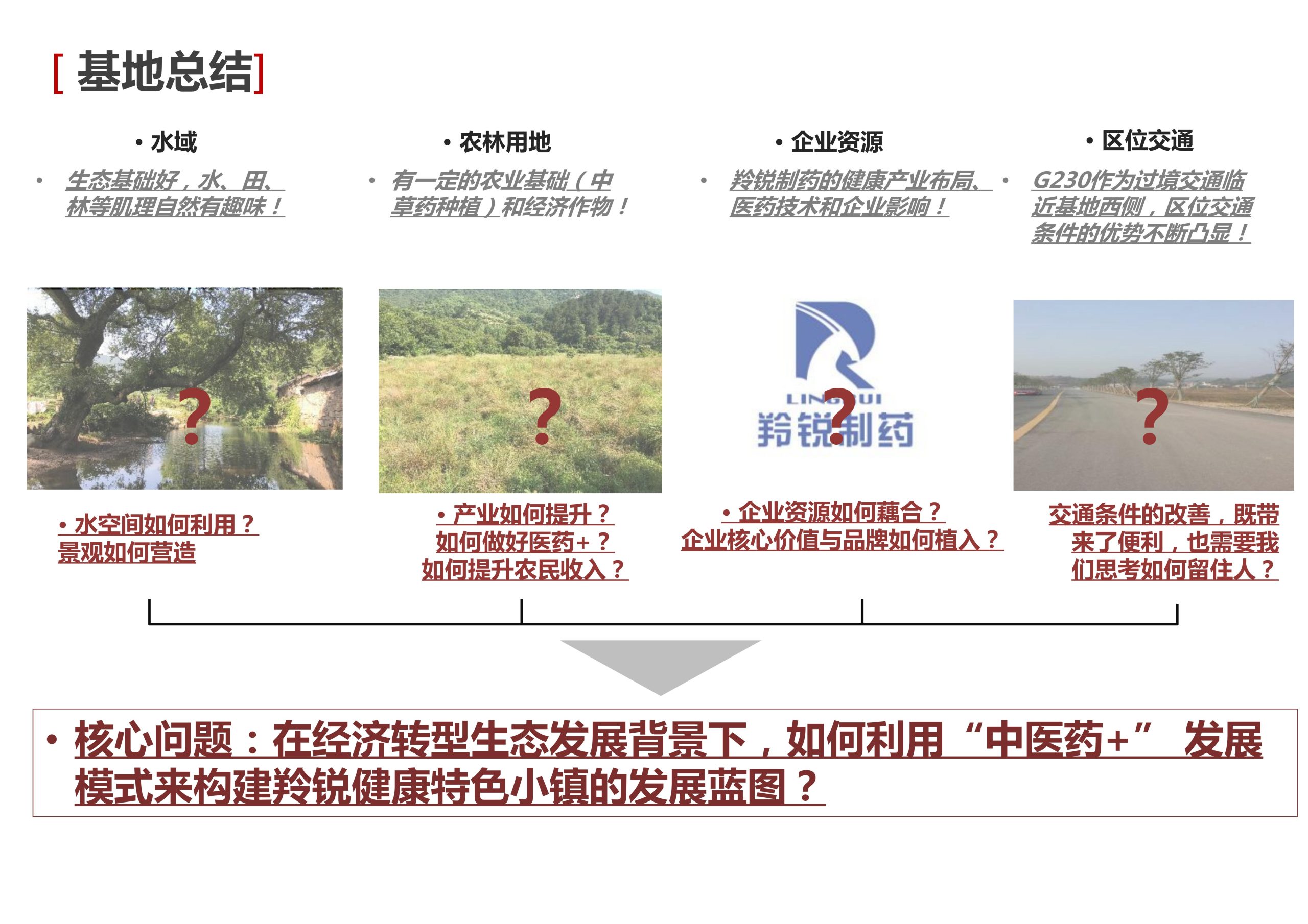 图片[51]-新县羚锐健康特色小镇项目（田园康养文旅）策划及概念规划 - 由甫网-由甫网