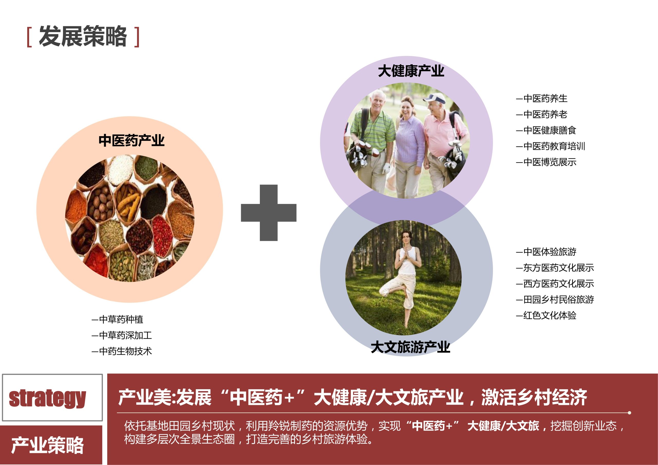 图片[58]-新县羚锐健康特色小镇项目（田园康养文旅）策划及概念规划 - 由甫网-由甫网