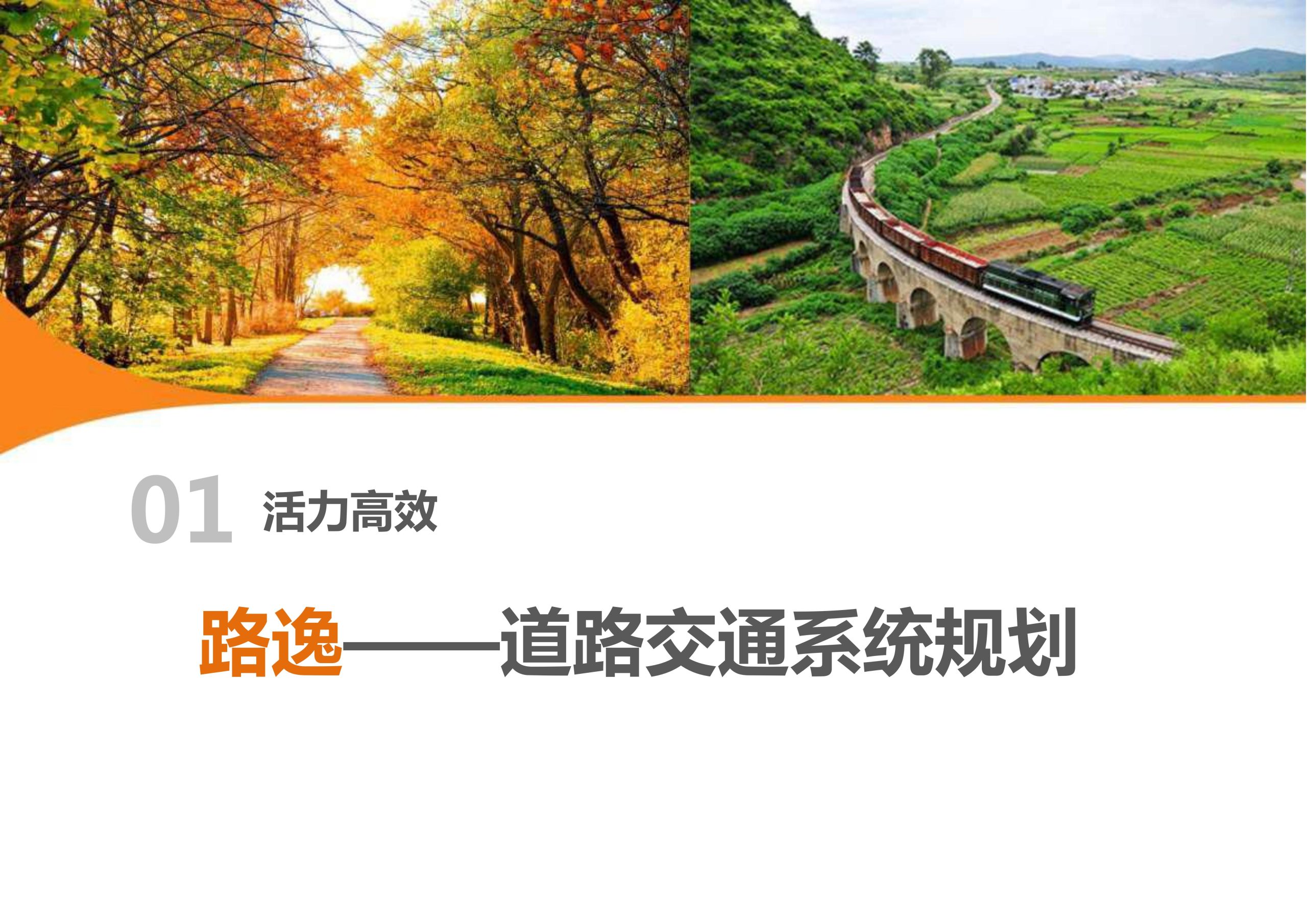 图片[87]-新县羚锐健康特色小镇项目（田园康养文旅）策划及概念规划 - 由甫网-由甫网