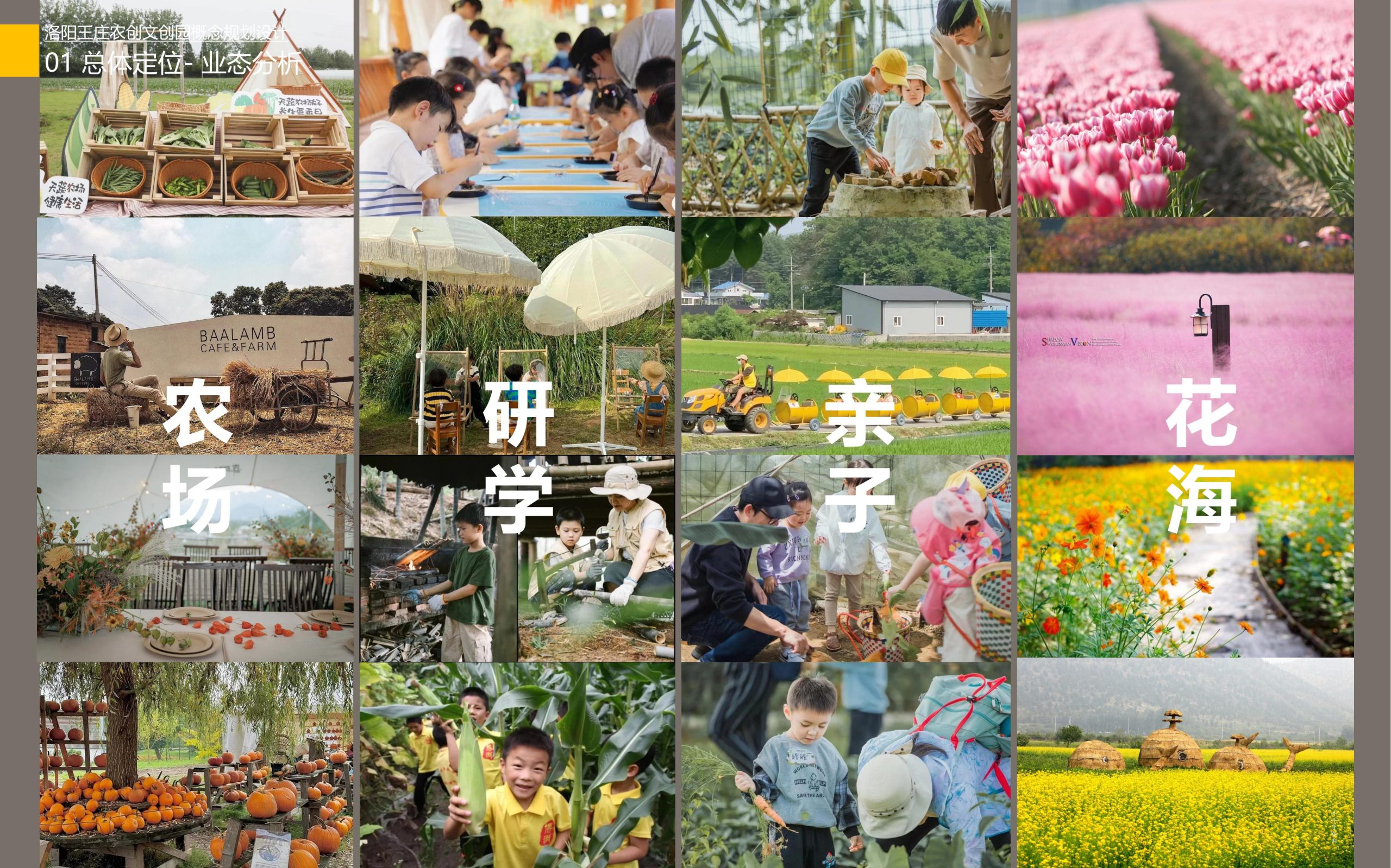 图片[14]-洛阳王庄农创文创园概念规划设计方案 - 由甫网-由甫网