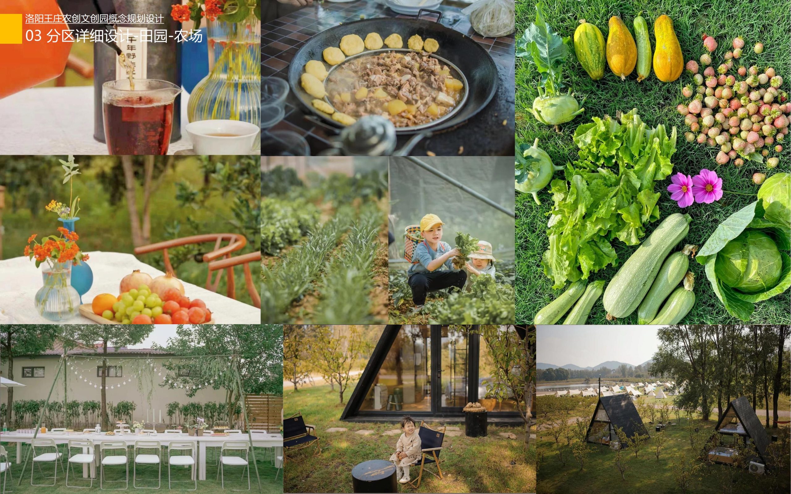 图片[50]-洛阳王庄农创文创园概念规划设计方案 - 由甫网-由甫网
