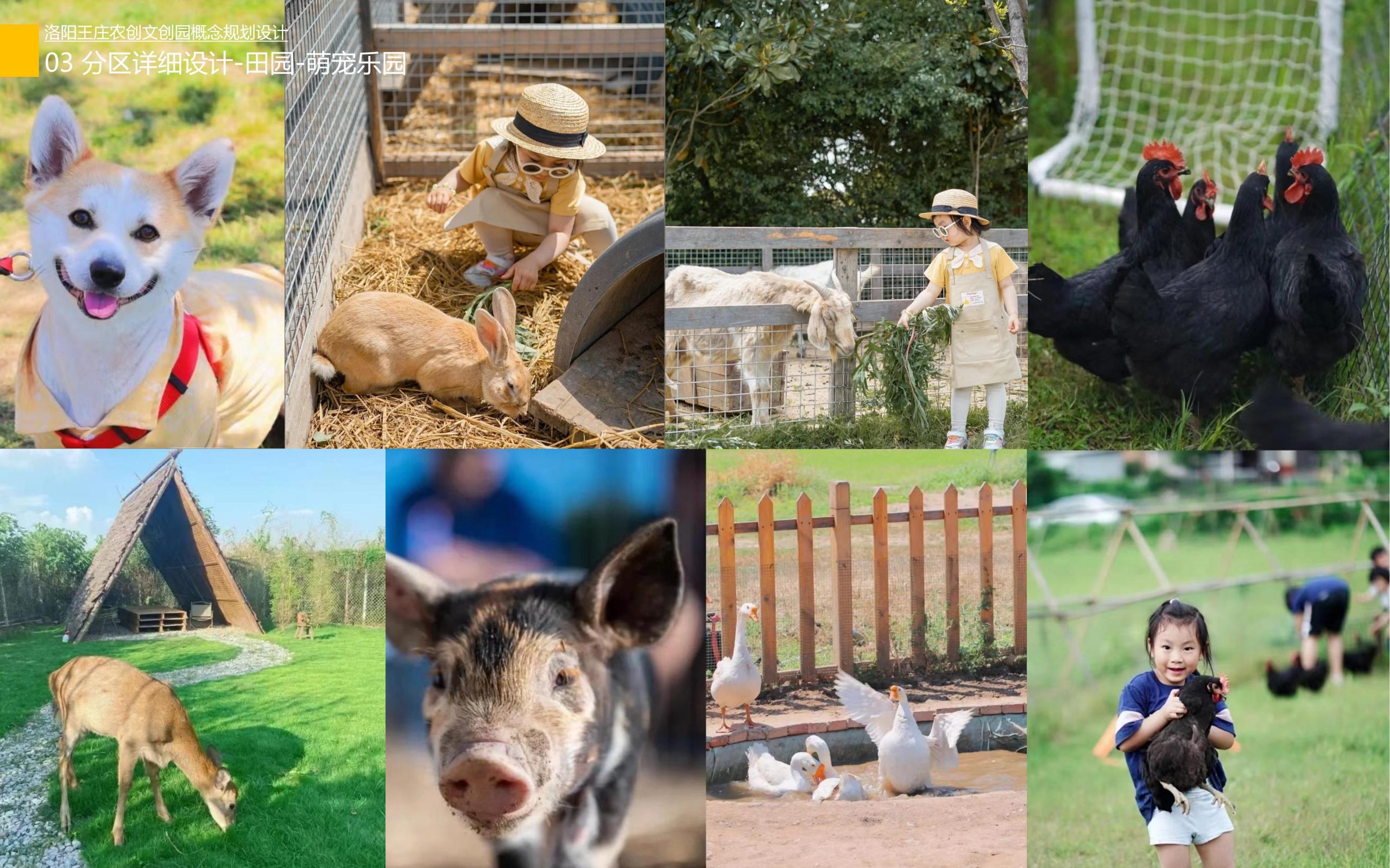 图片[51]-洛阳王庄农创文创园概念规划设计方案 - 由甫网-由甫网