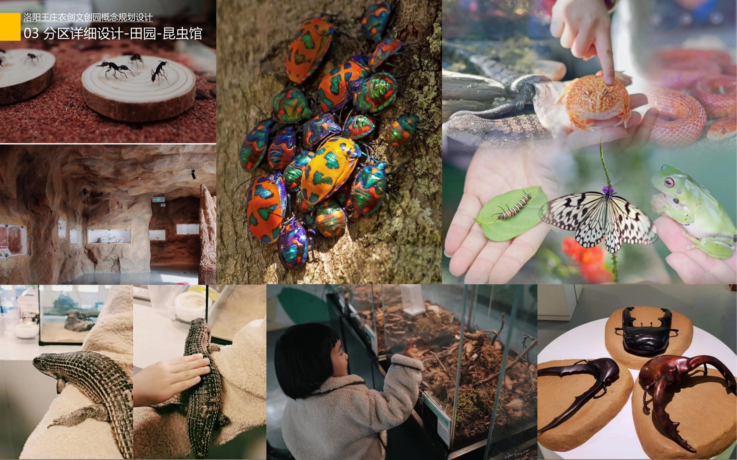 图片[53]-洛阳王庄农创文创园概念规划设计方案 - 由甫网-由甫网