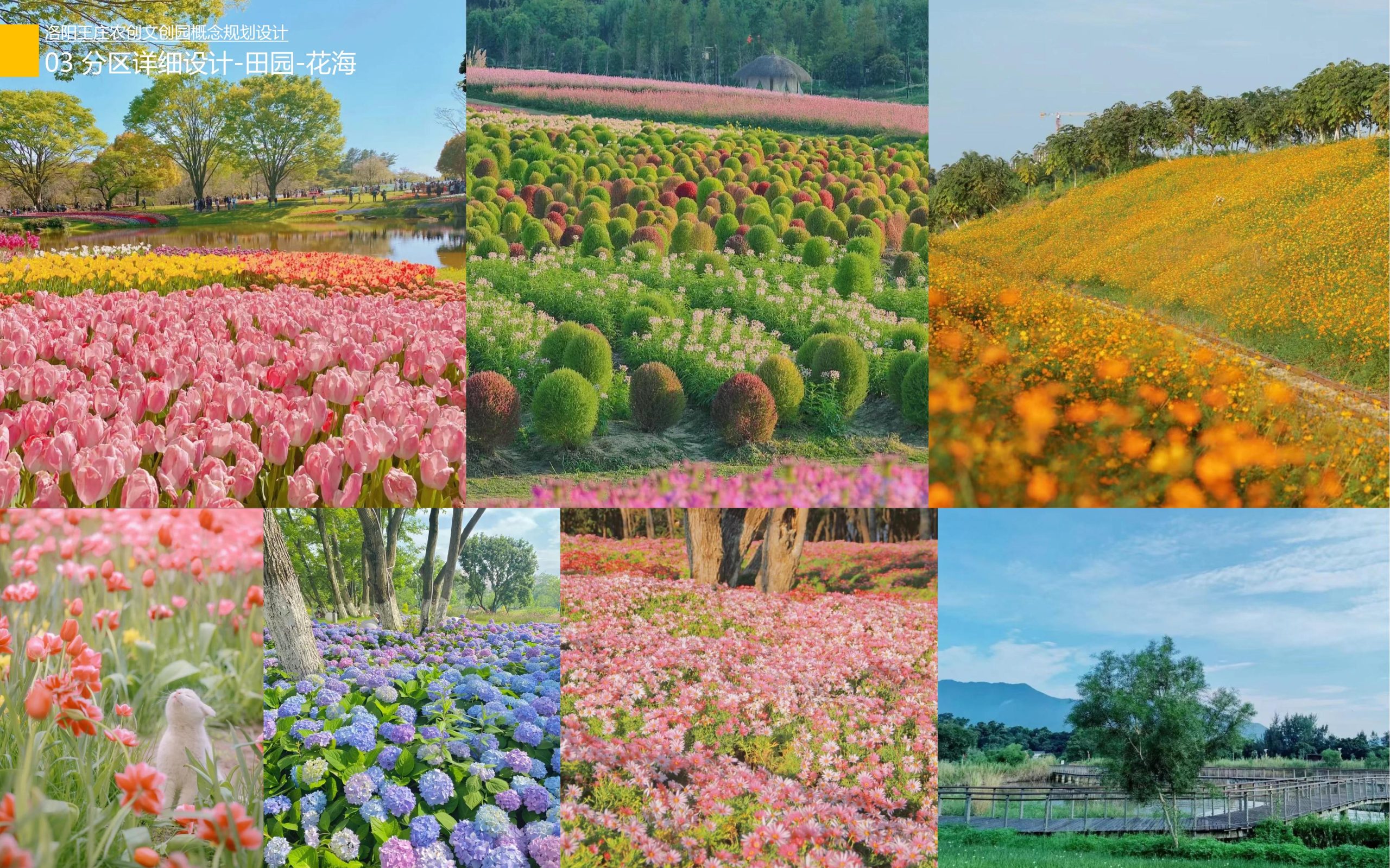 图片[54]-洛阳王庄农创文创园概念规划设计方案 - 由甫网-由甫网