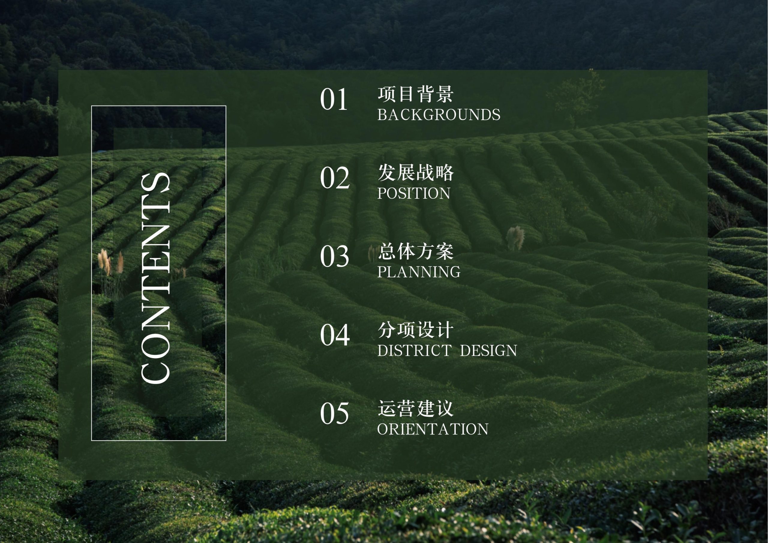 图片[5]-英德市黄花镇T三茶庄农文旅板块方案 - 由甫网-由甫网