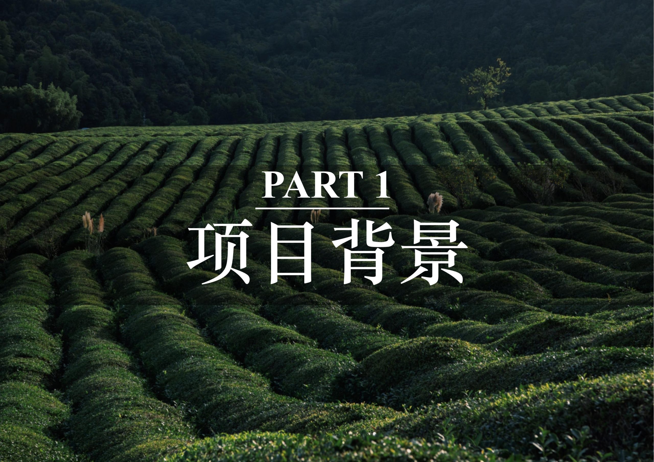 图片[6]-英德市黄花镇T三茶庄农文旅板块方案 - 由甫网-由甫网