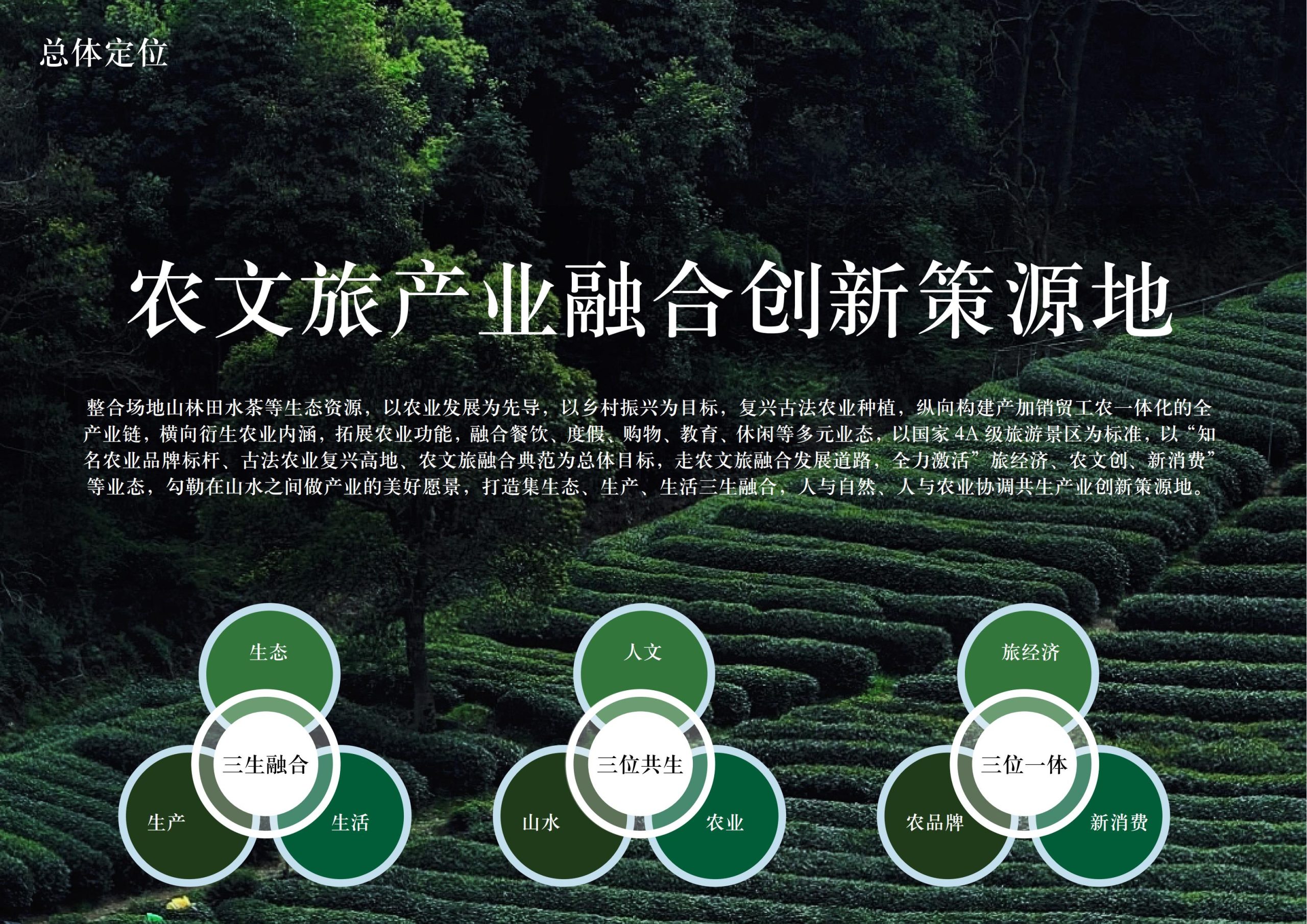 图片[9]-英德市黄花镇T三茶庄农文旅板块方案 - 由甫网-由甫网