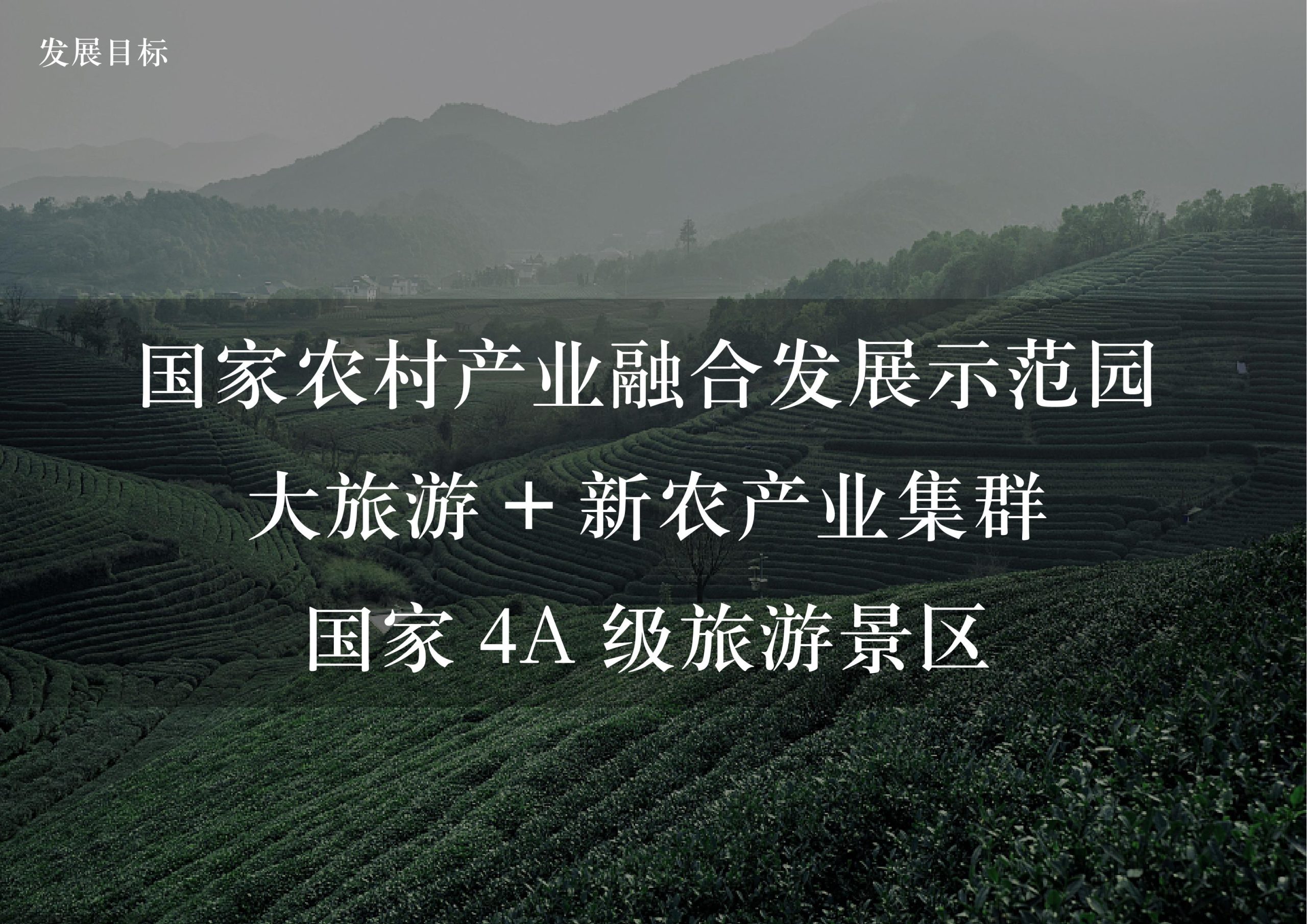 图片[11]-英德市黄花镇T三茶庄农文旅板块方案 - 由甫网-由甫网