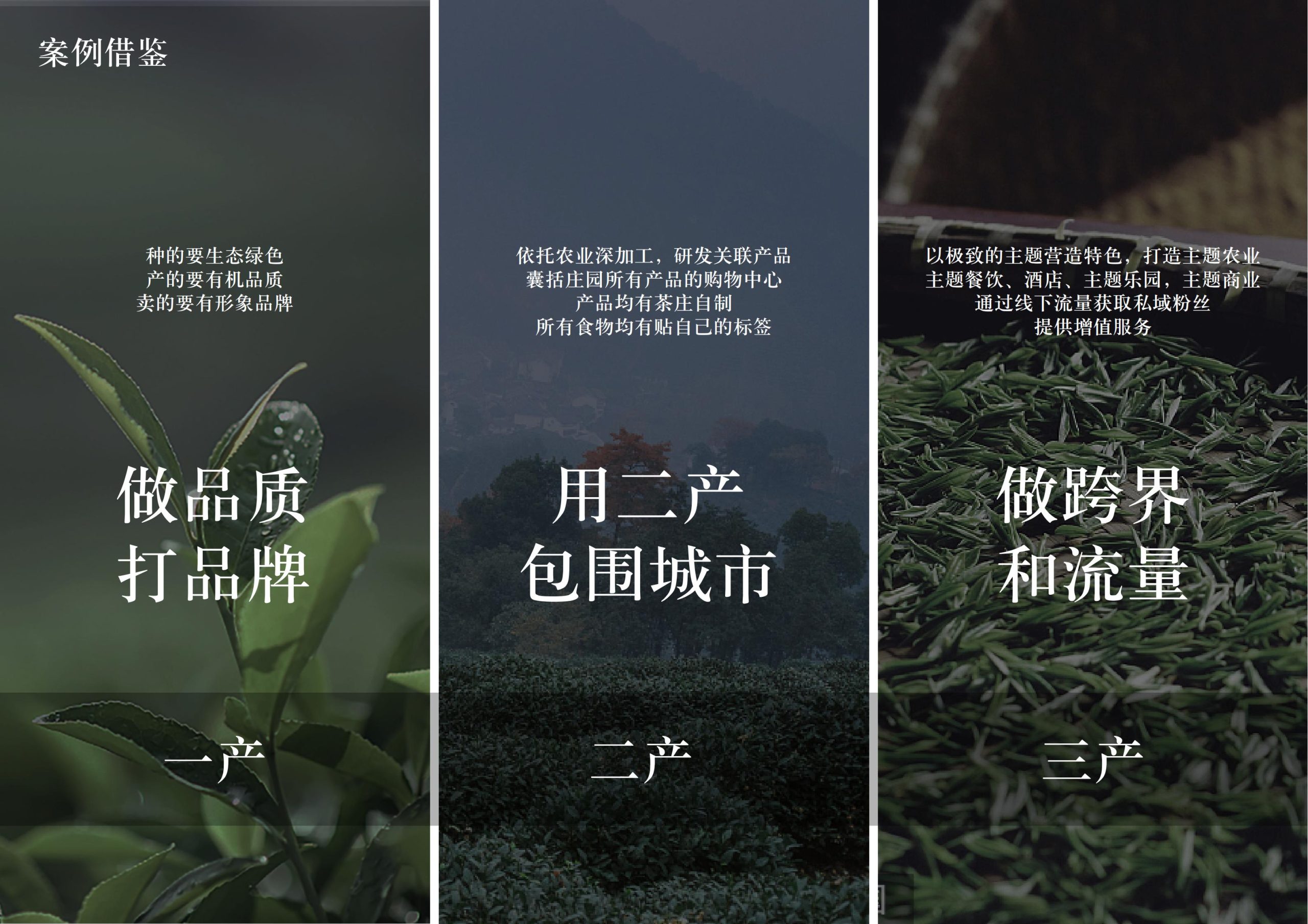 图片[14]-英德市黄花镇T三茶庄农文旅板块方案 - 由甫网-由甫网