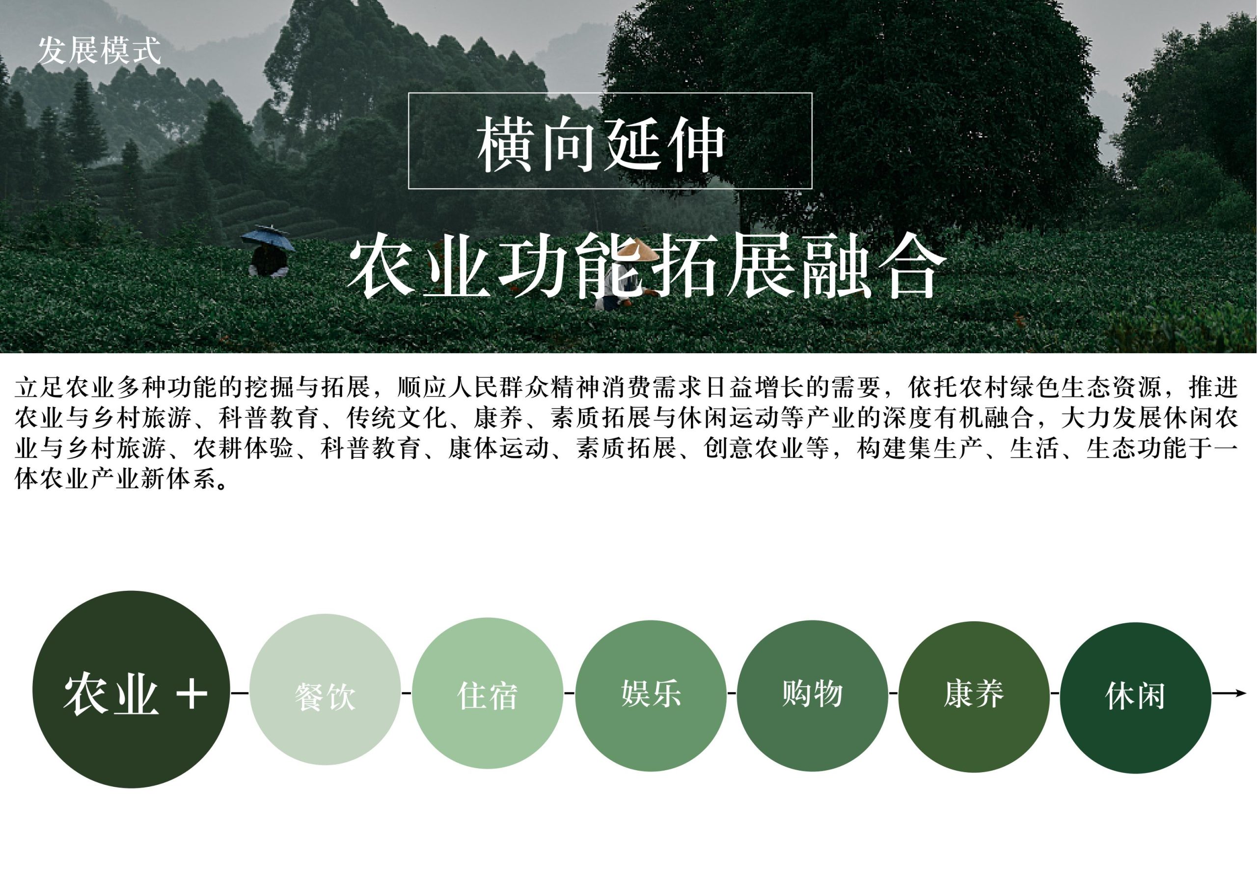 图片[17]-英德市黄花镇T三茶庄农文旅板块方案 - 由甫网-由甫网