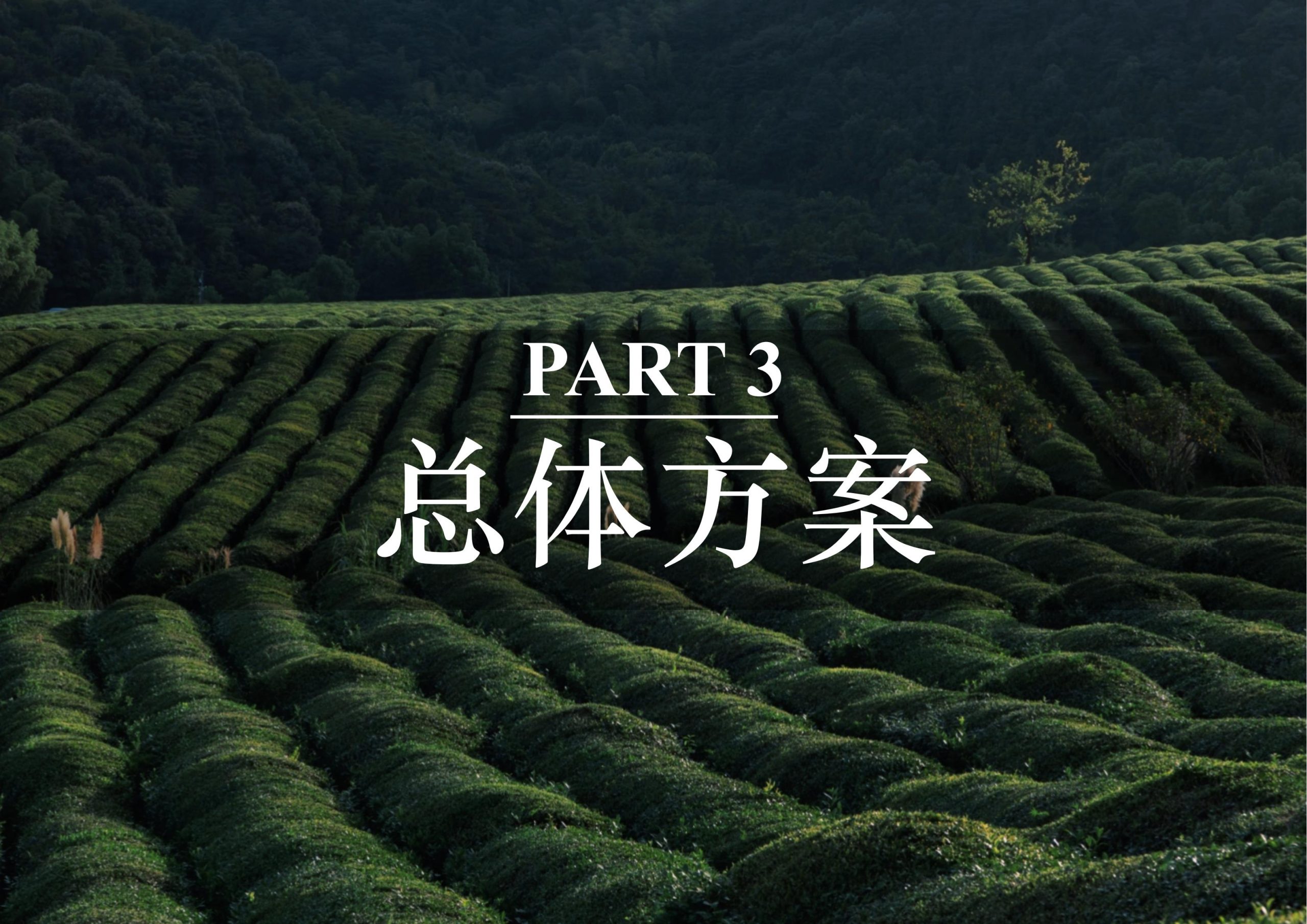 图片[22]-英德市黄花镇T三茶庄农文旅板块方案 - 由甫网-由甫网